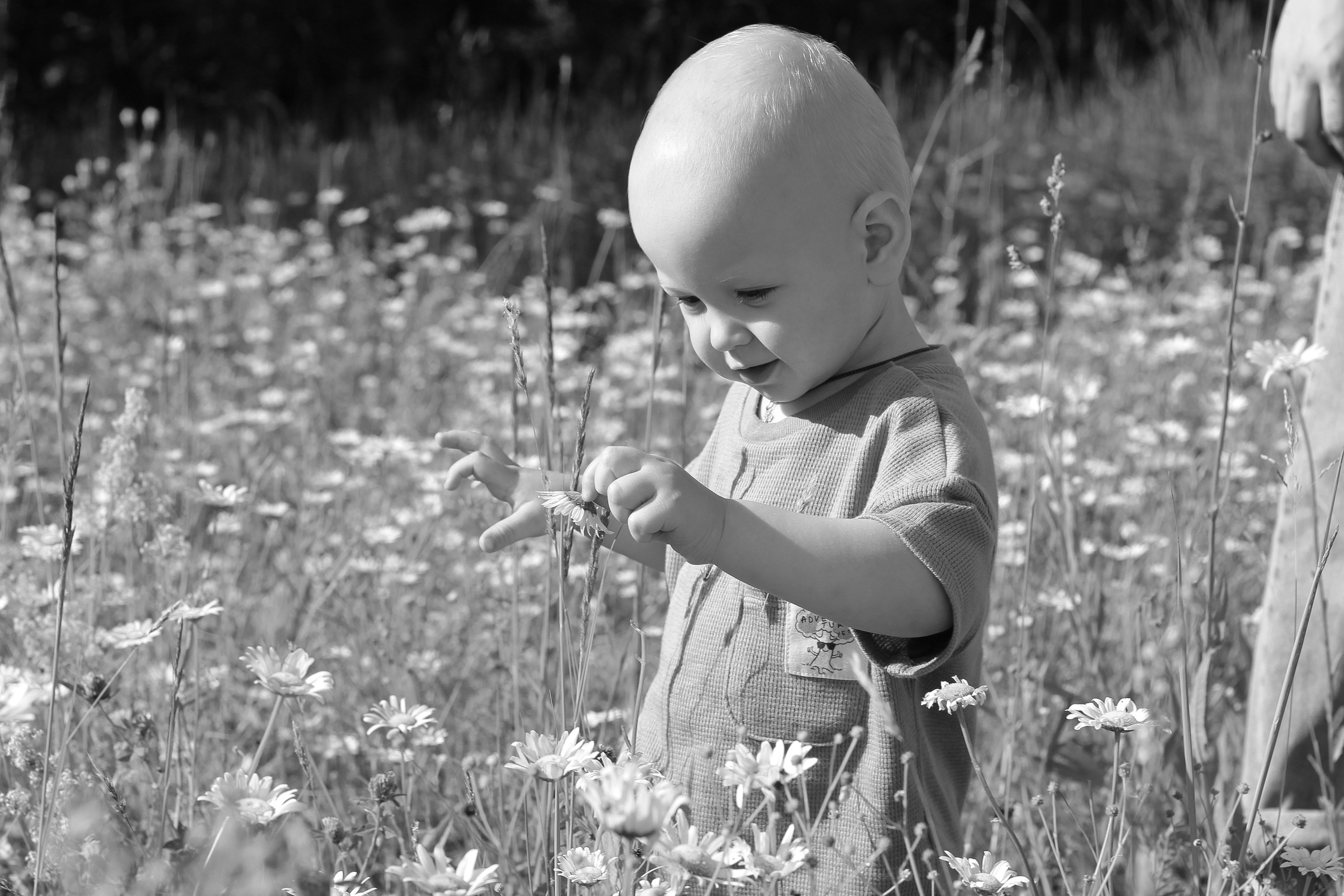 Семейные съемки. Фотограф Татьяна Рыжкова Йошкар-Ола|Чебоксары|Козьмодемьянск