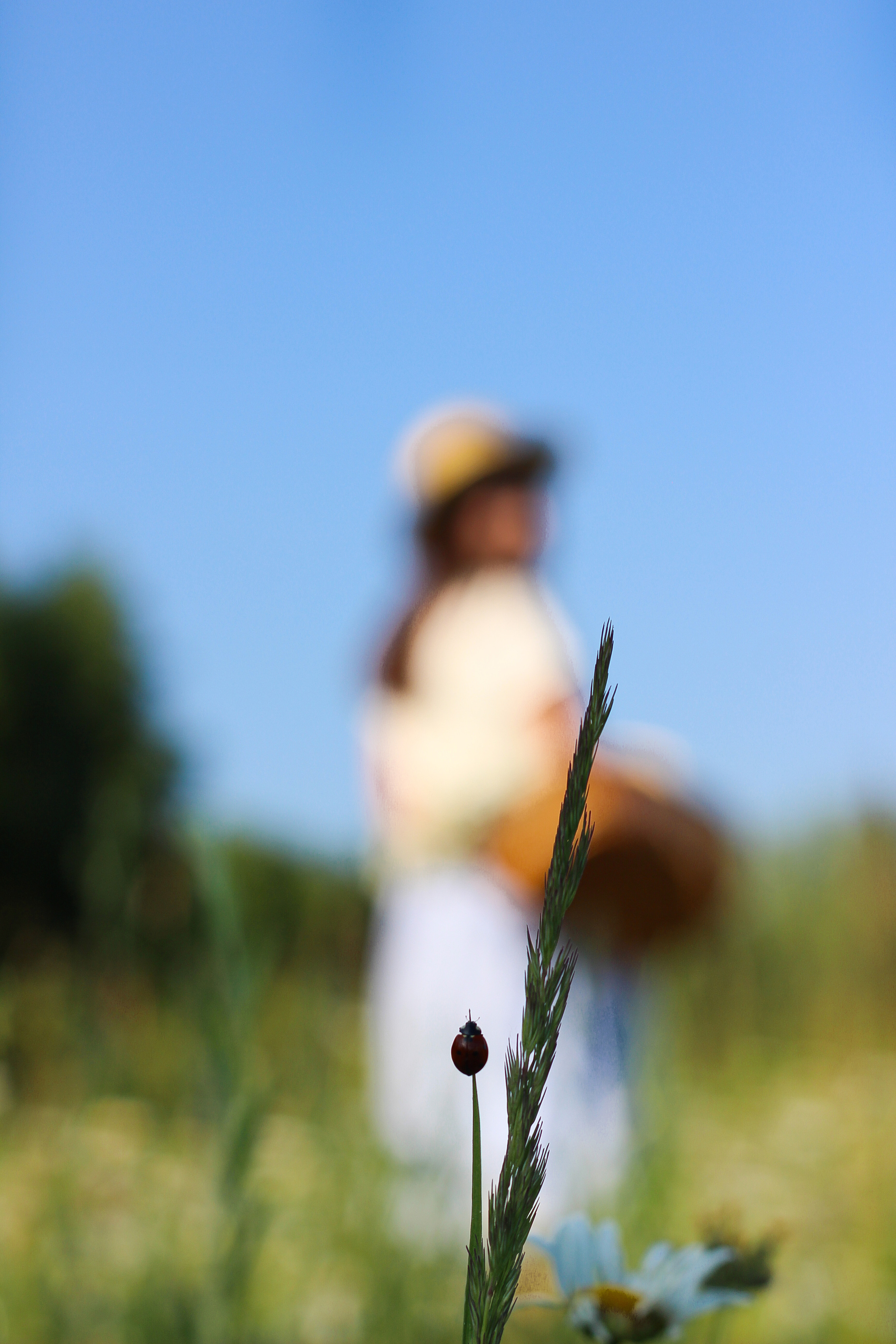 Семья Романа и Ольги. Фотограф Татьяна Рыжкова Йошкар-Ола|Чебоксары|Козьмодемьянск
