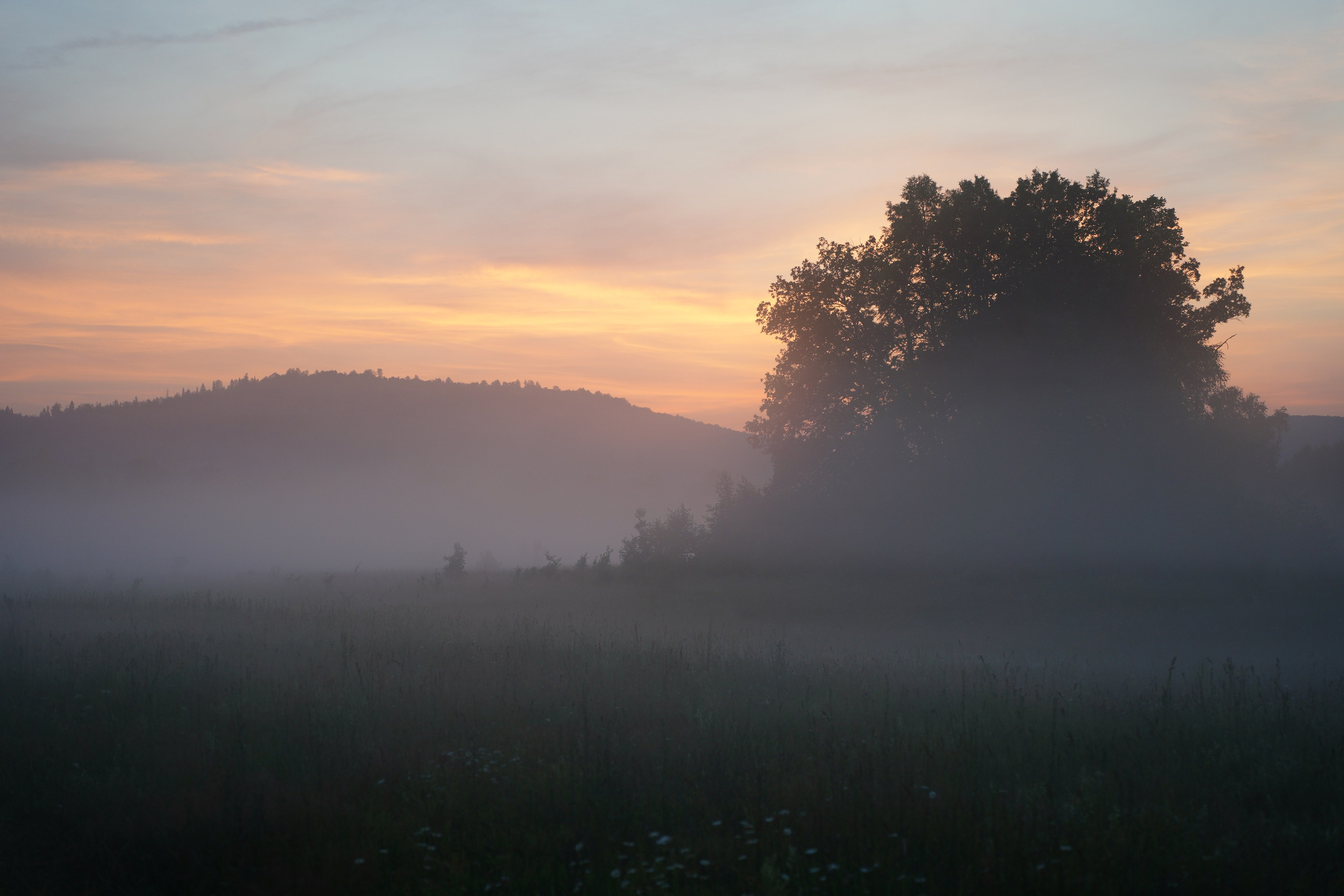 Пейзаж. Pupov.png