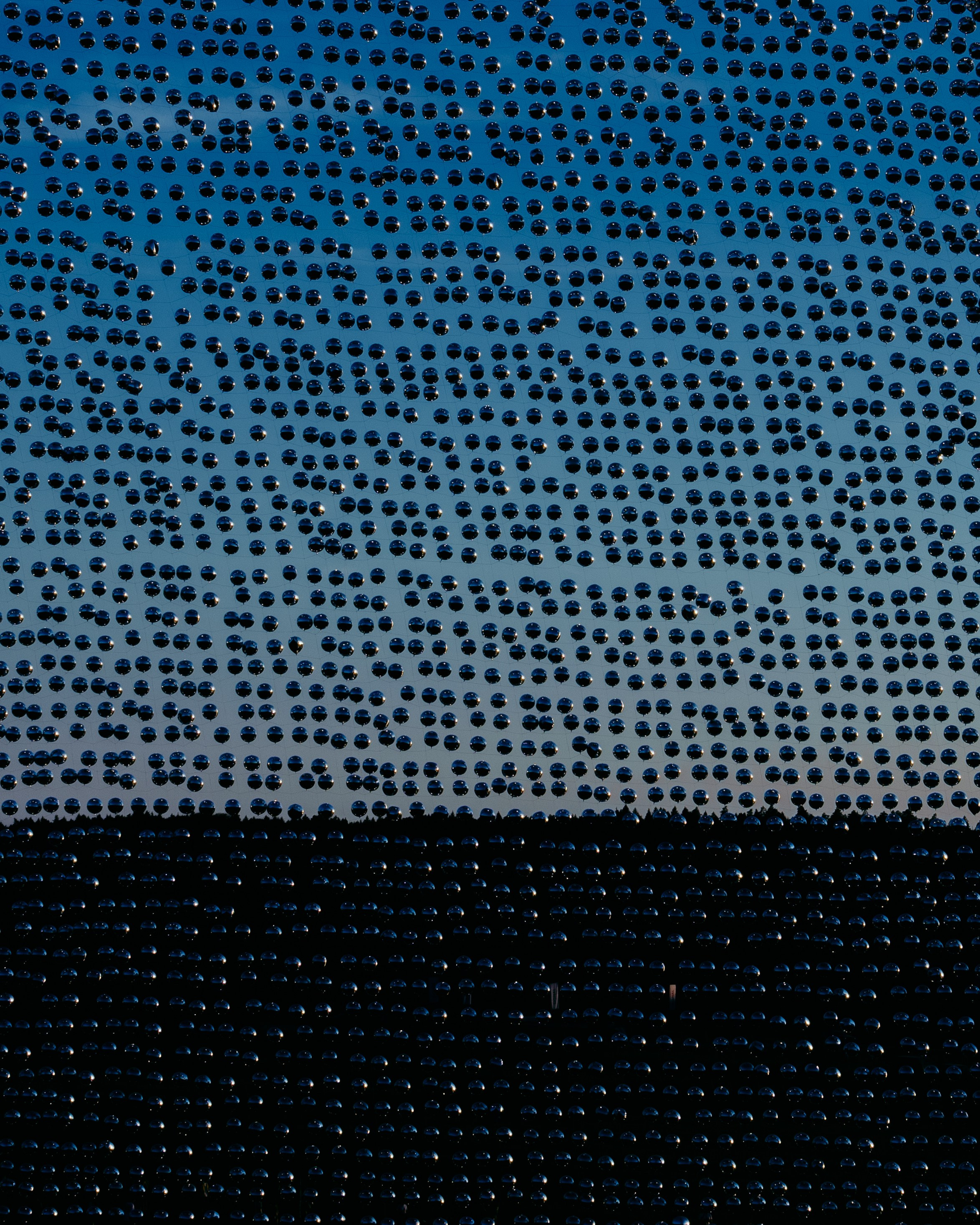 Signal 2024. @tomrus: Рустам Шагиморданов — фотограф