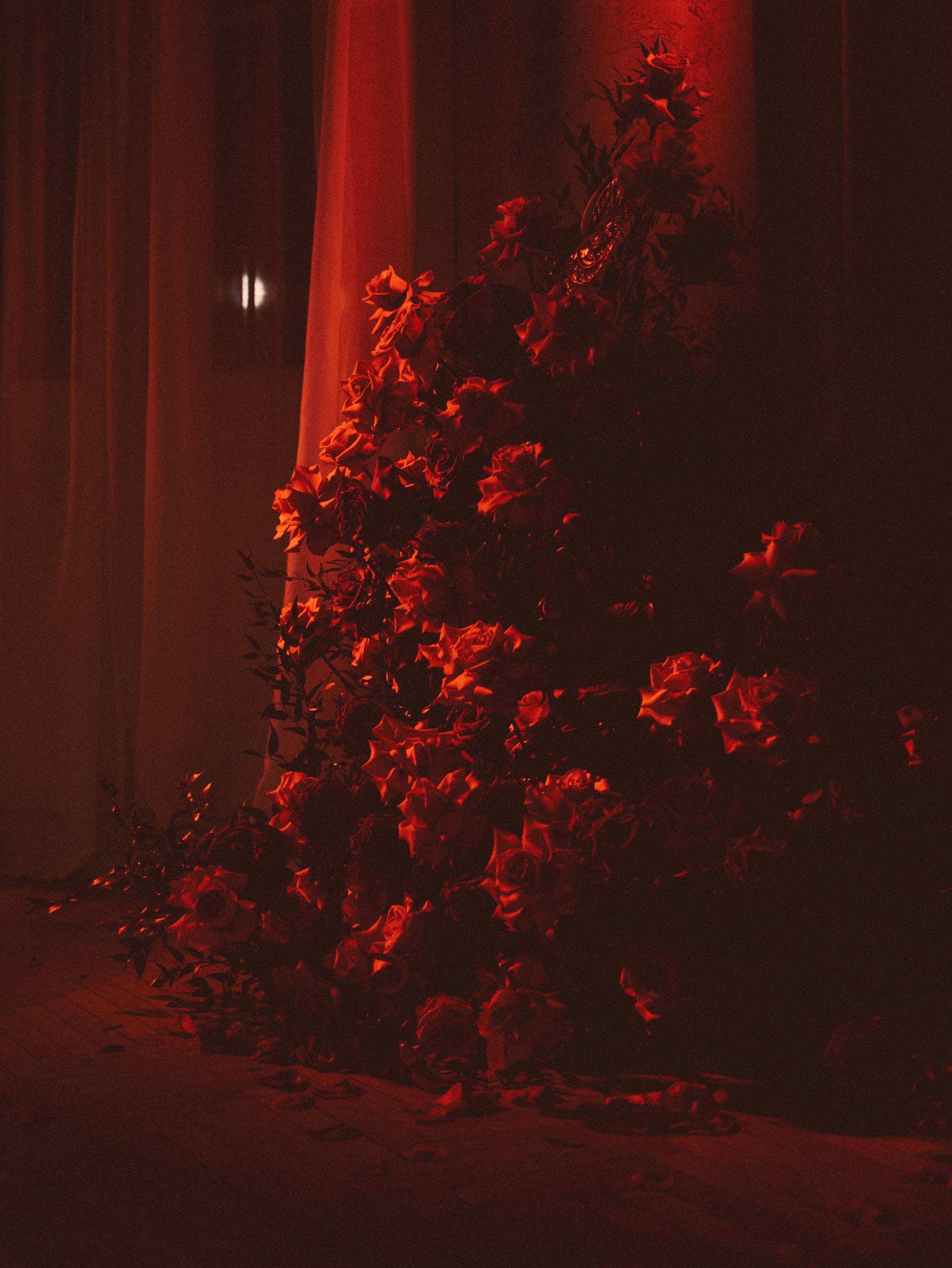 В САМОЕ СЕРДЦЕ. Свадебный фотограф Москва Ирина Писарева