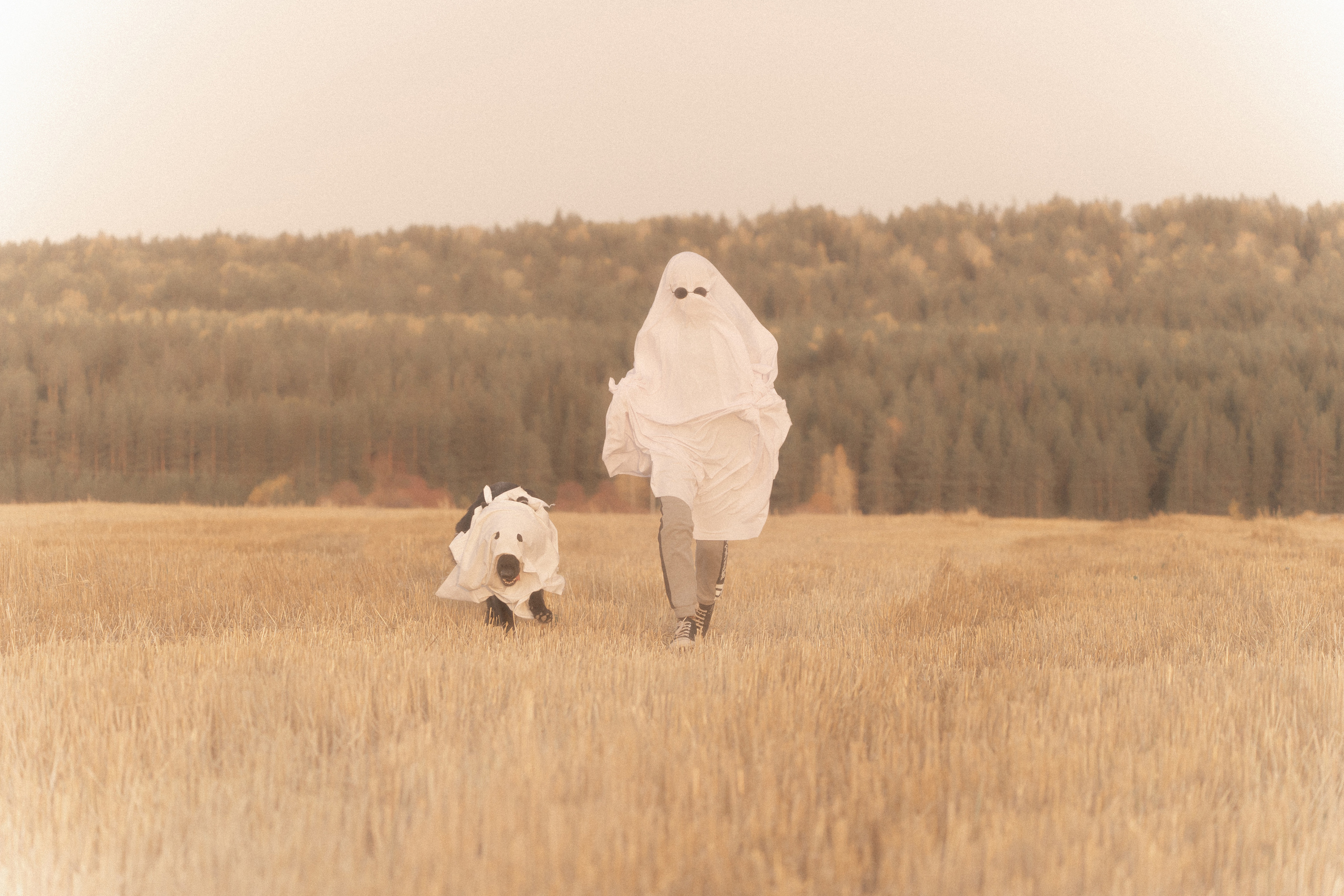 Ghosts. Фотограф-анималист Анастасия Большакова