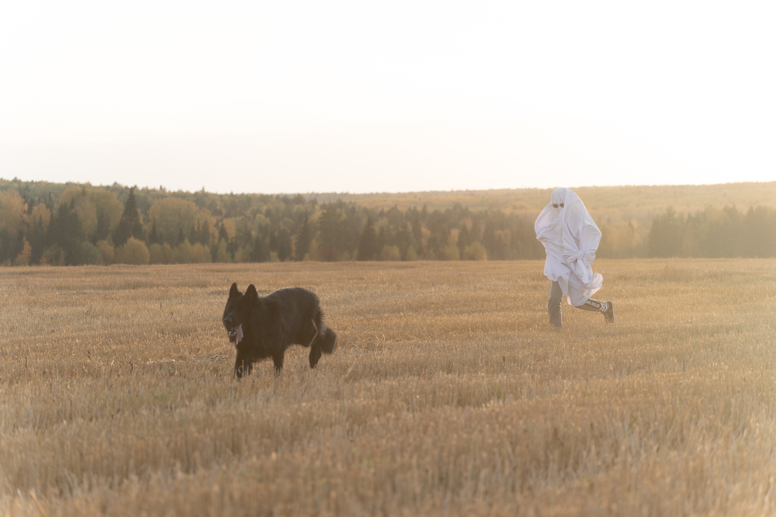 Ghosts. Фотограф-анималист Анастасия Большакова