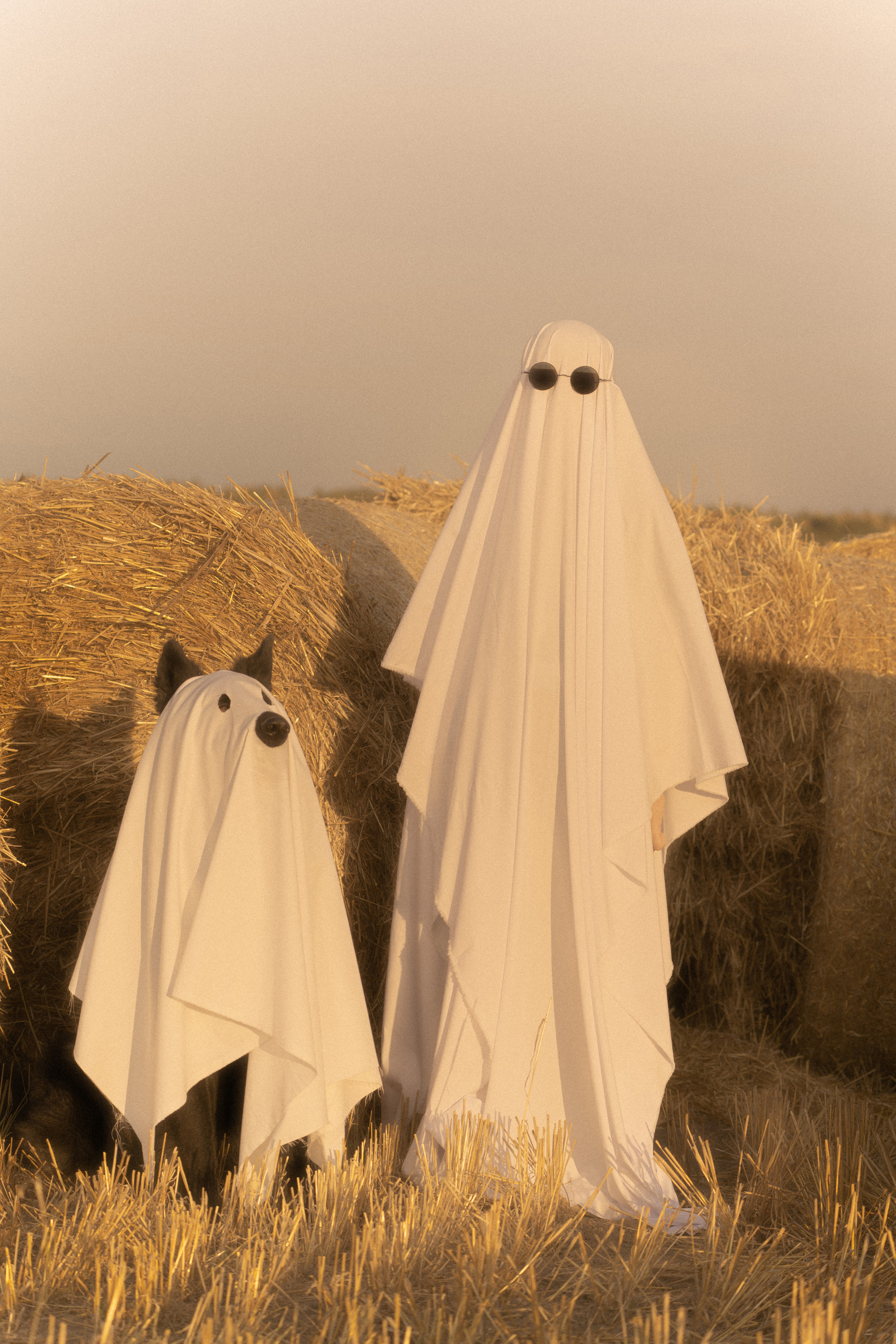 Ghosts. Фотограф-анималист Анастасия Большакова