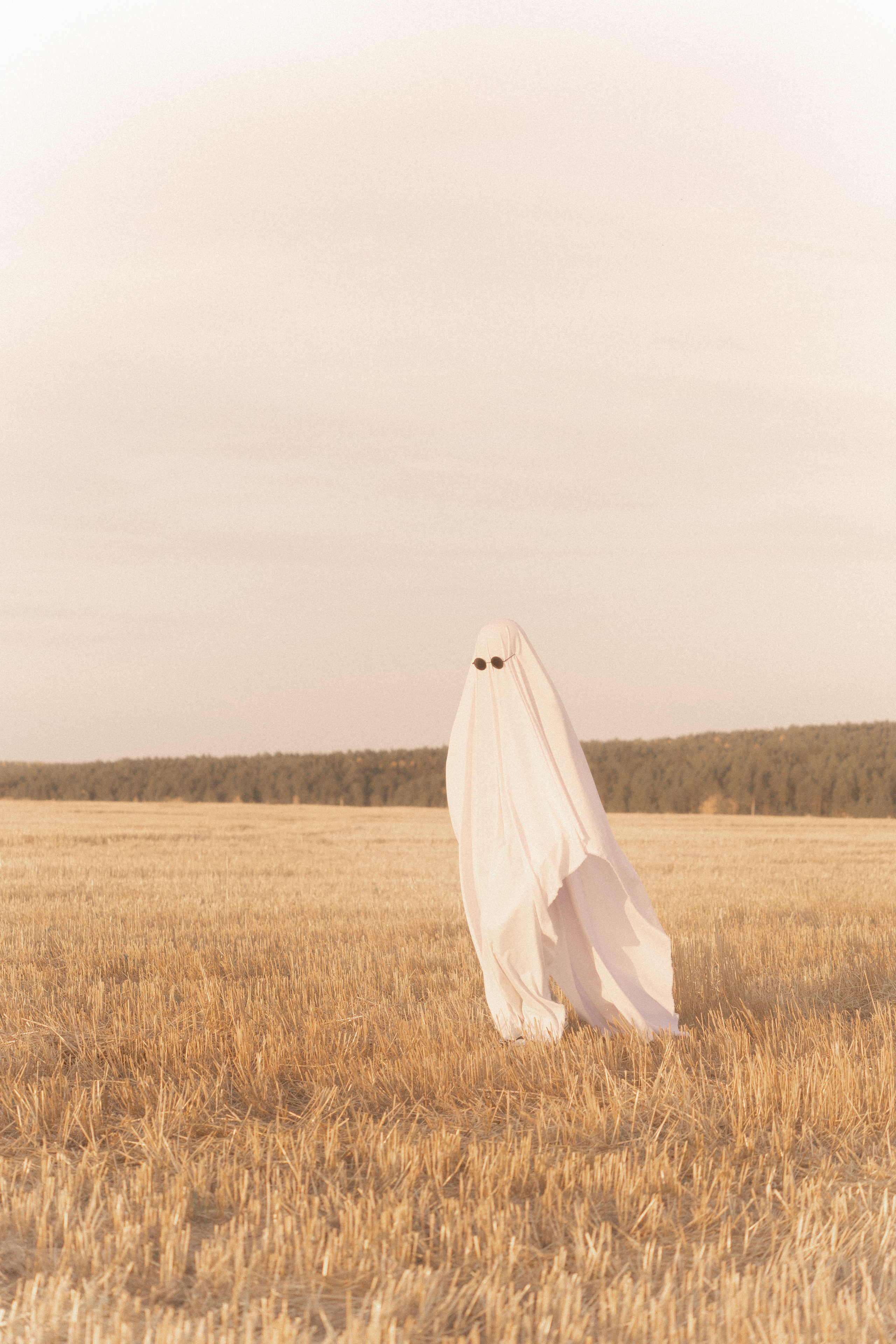 Ghosts. Фотограф-анималист Анастасия Большакова