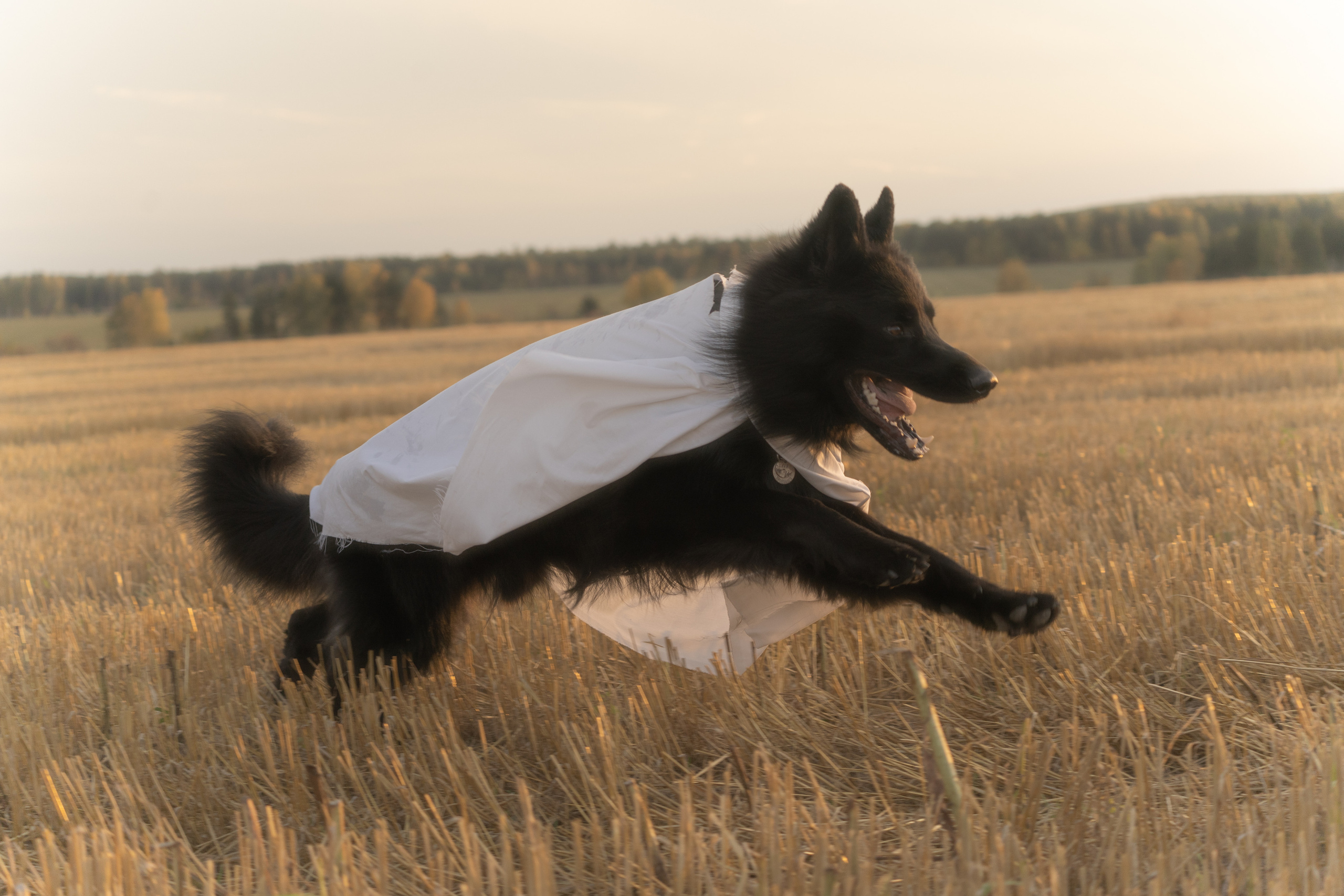 Ghosts. Фотограф-анималист Анастасия Большакова