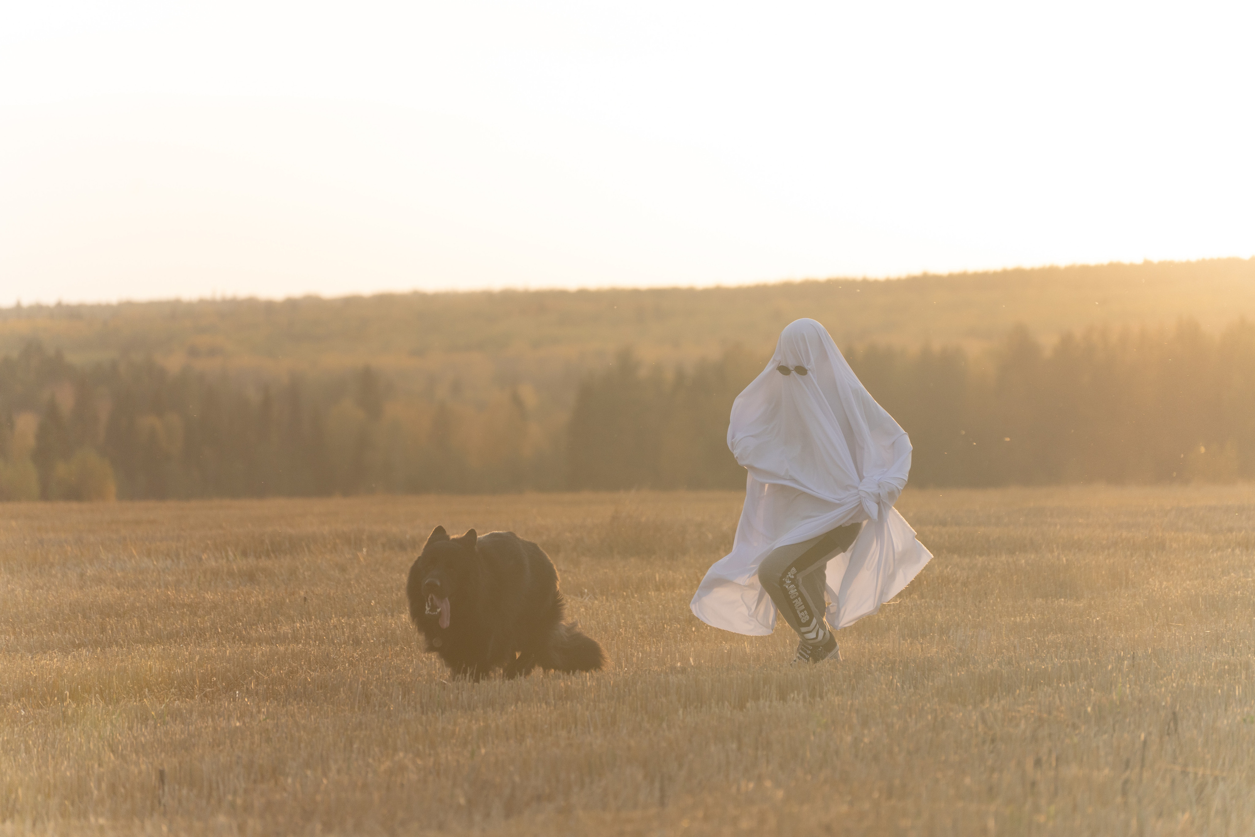 Ghosts. Фотограф-анималист Анастасия Большакова