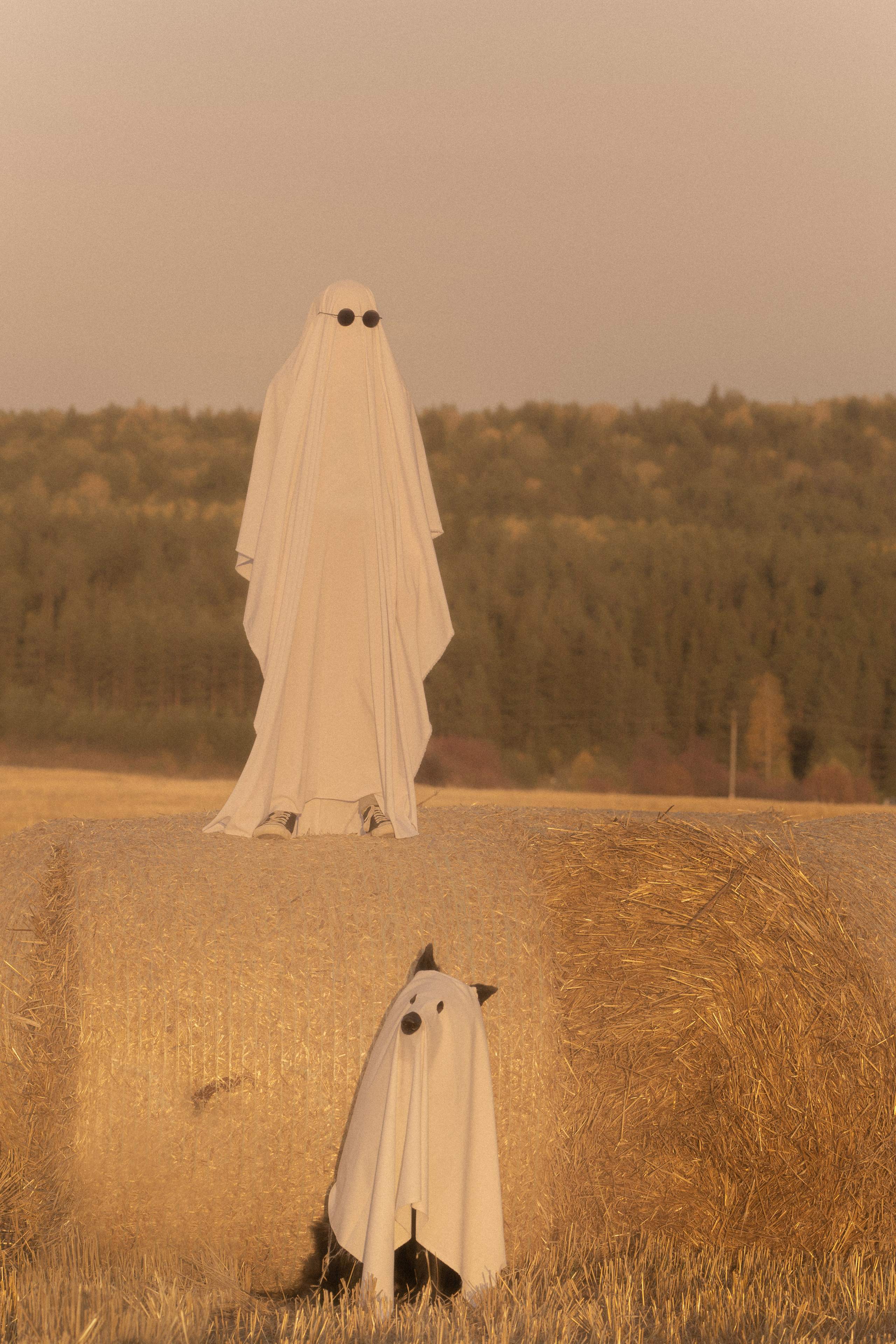 Ghosts. Фотограф-анималист Анастасия Большакова