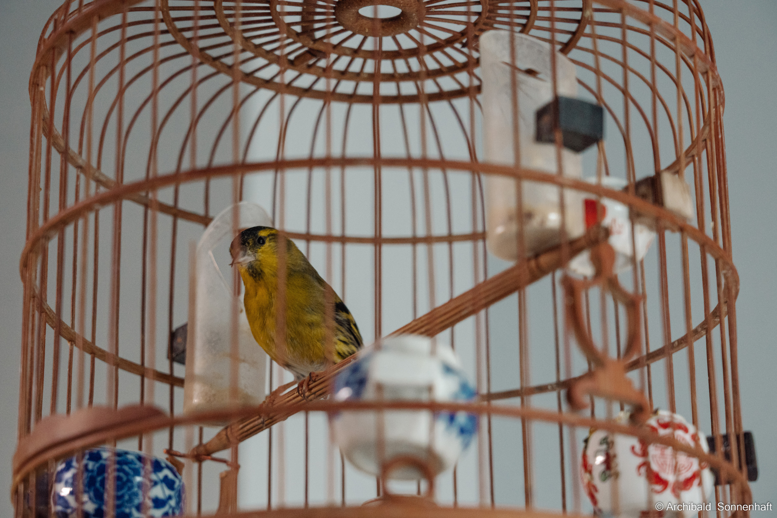 Master class on engraving on glass. Photographer in Guangzhou, China. Archibald Sonnenhaft