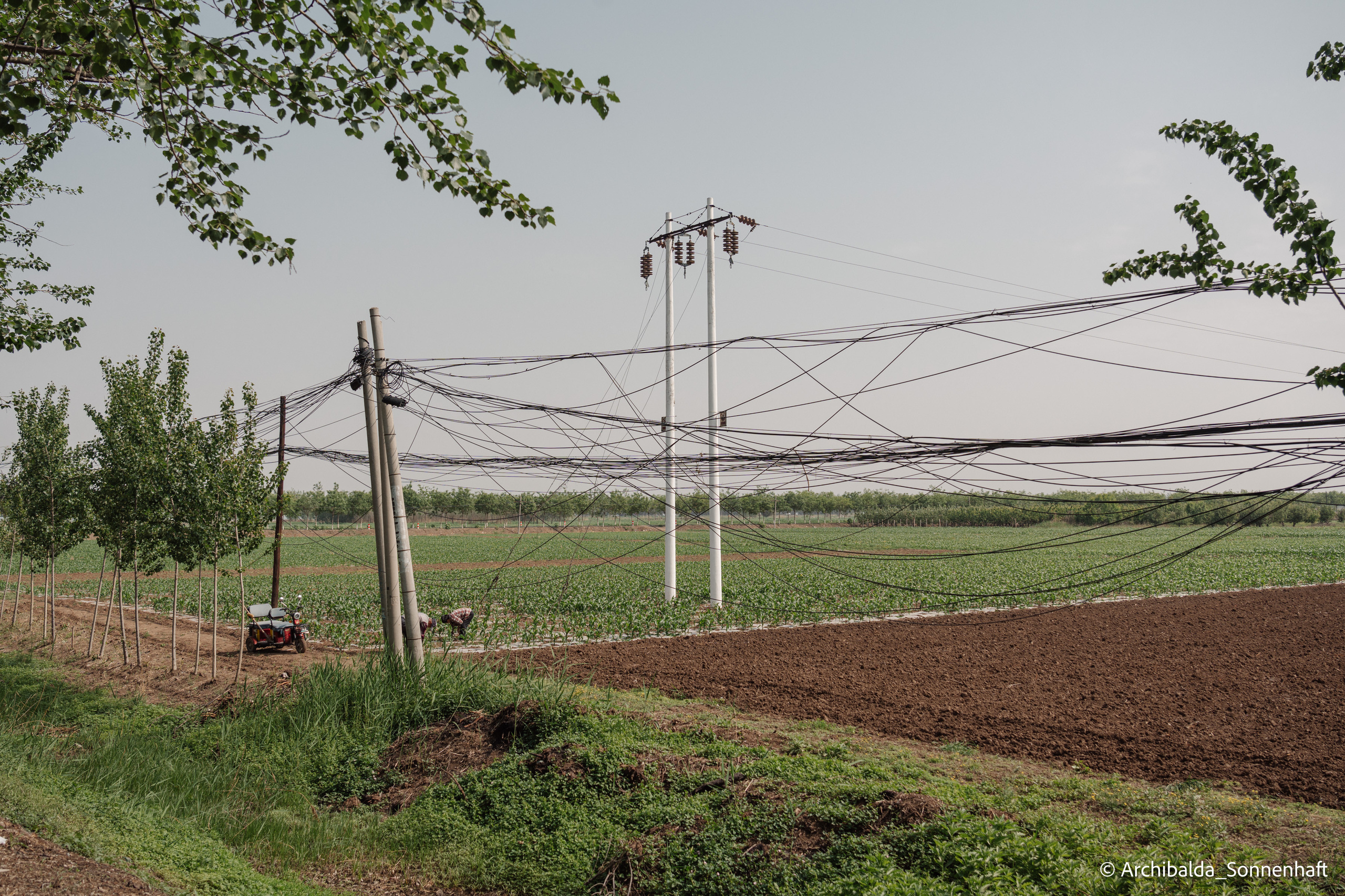 Tianjin-Beijin. Photographer in Guangzhou, China. Archibald Sonnenhaft