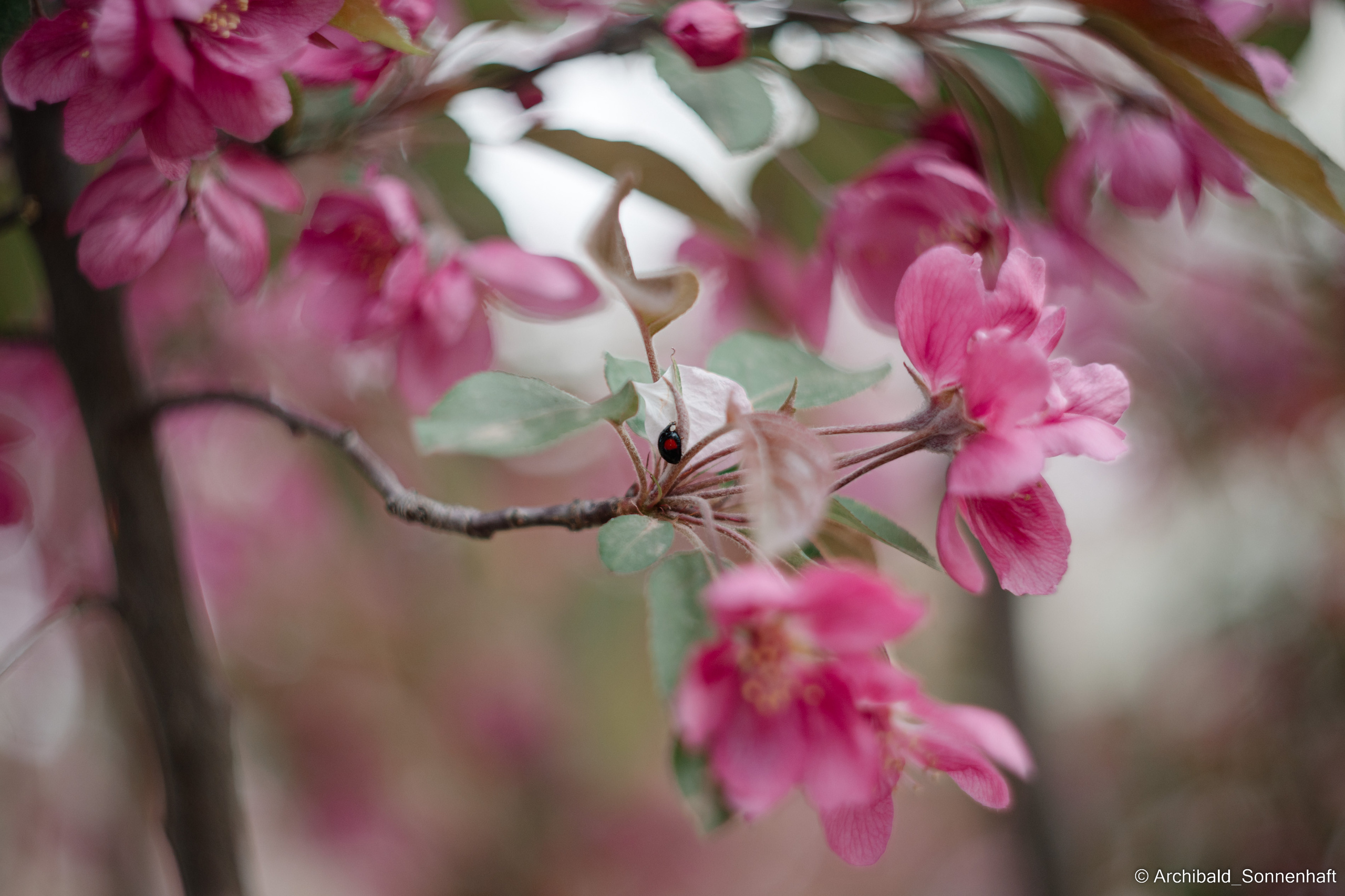 Water park. Photographer in Guangzhou, China. Archibald Sonnenhaft
