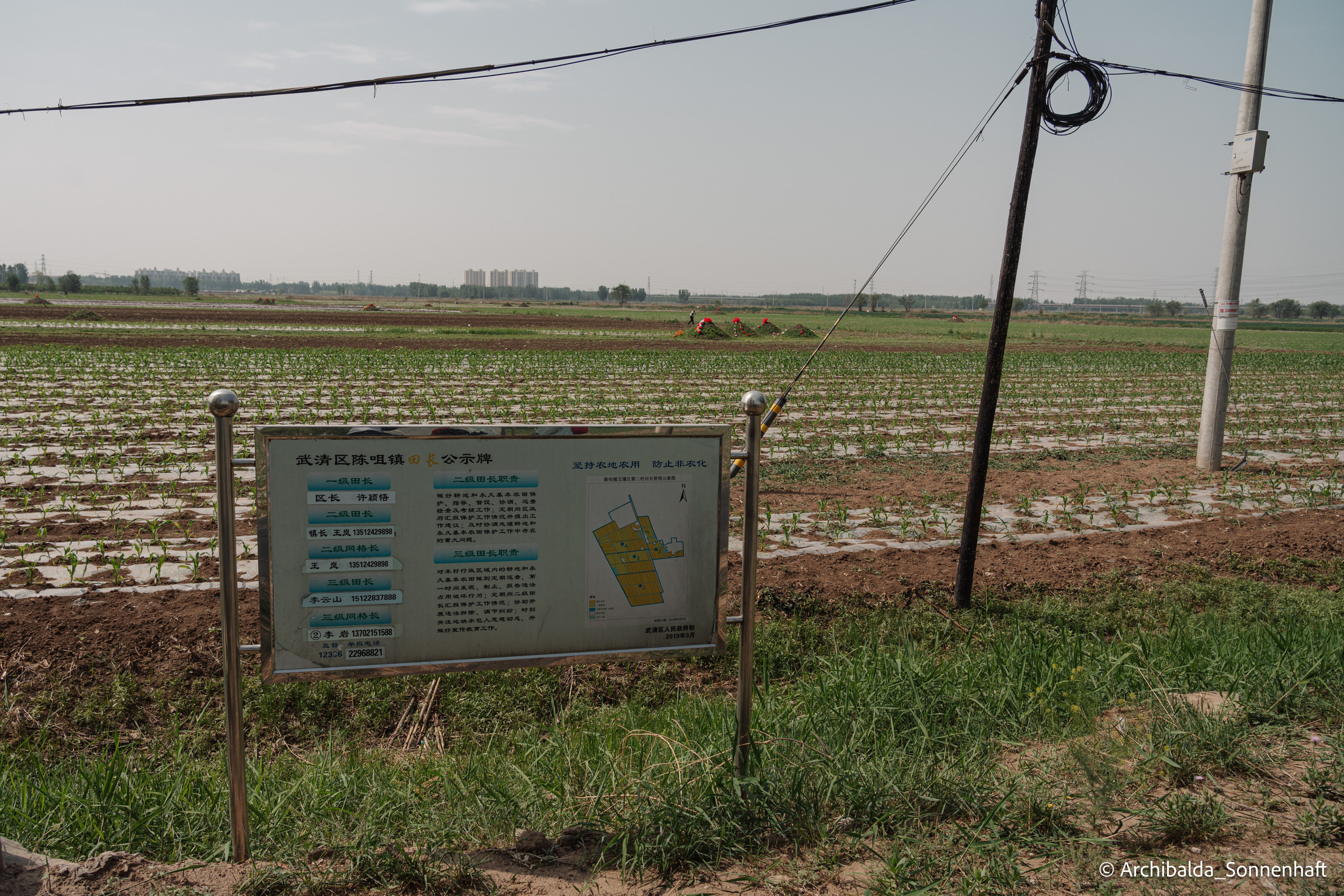 Tianjin-Beijin. Photographer in Guangzhou, China. Archibald Sonnenhaft