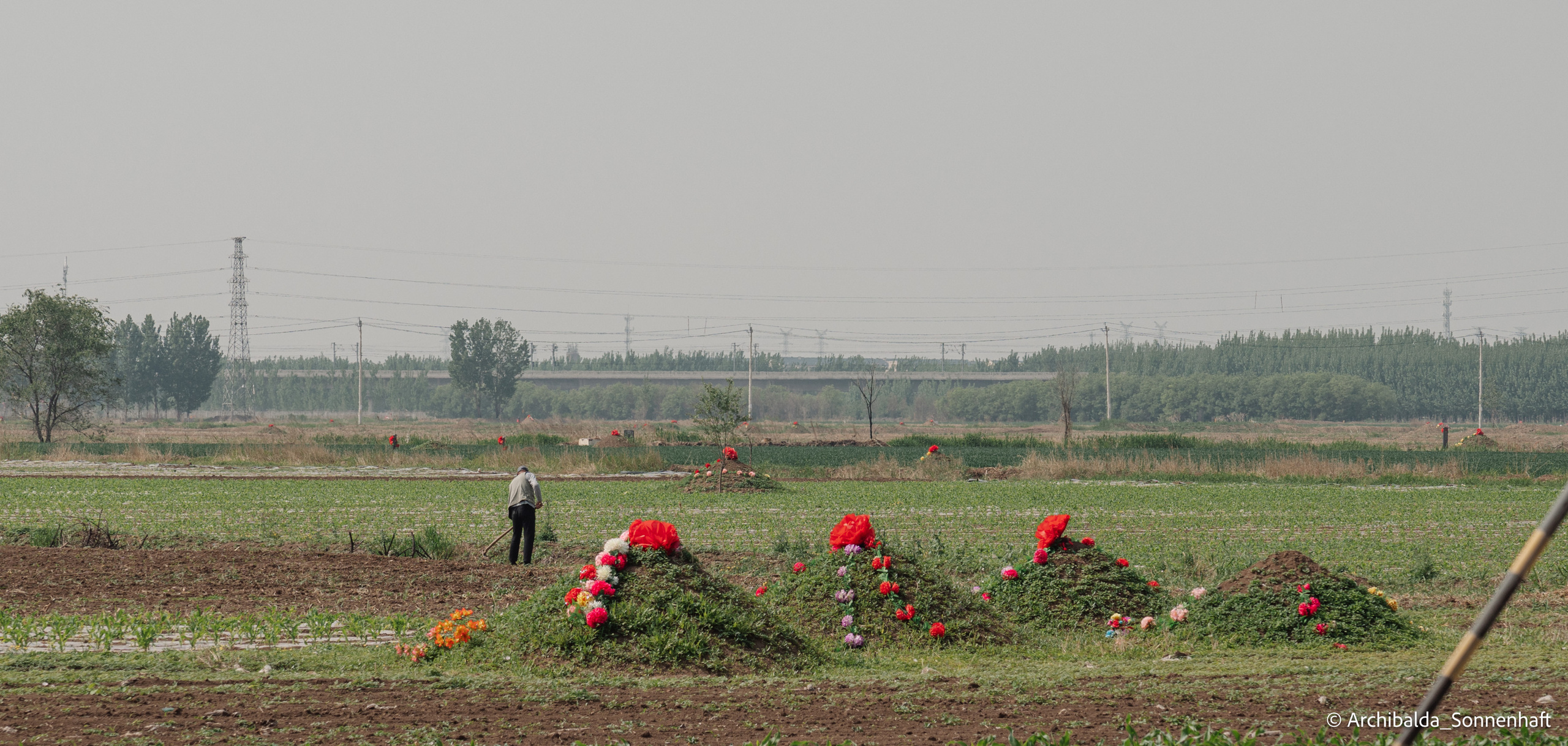Tianjin-Beijin. Photographer in Guangzhou, China. Archibald Sonnenhaft