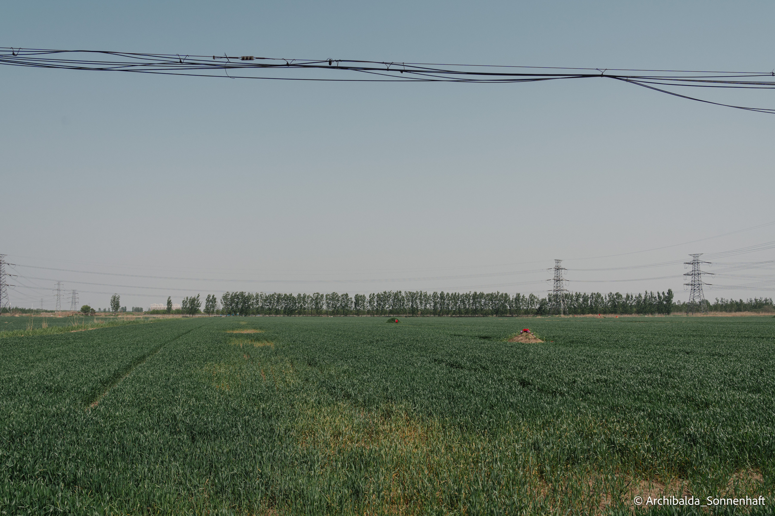 Tianjin-Beijin. Photographer in Guangzhou, China. Archibald Sonnenhaft