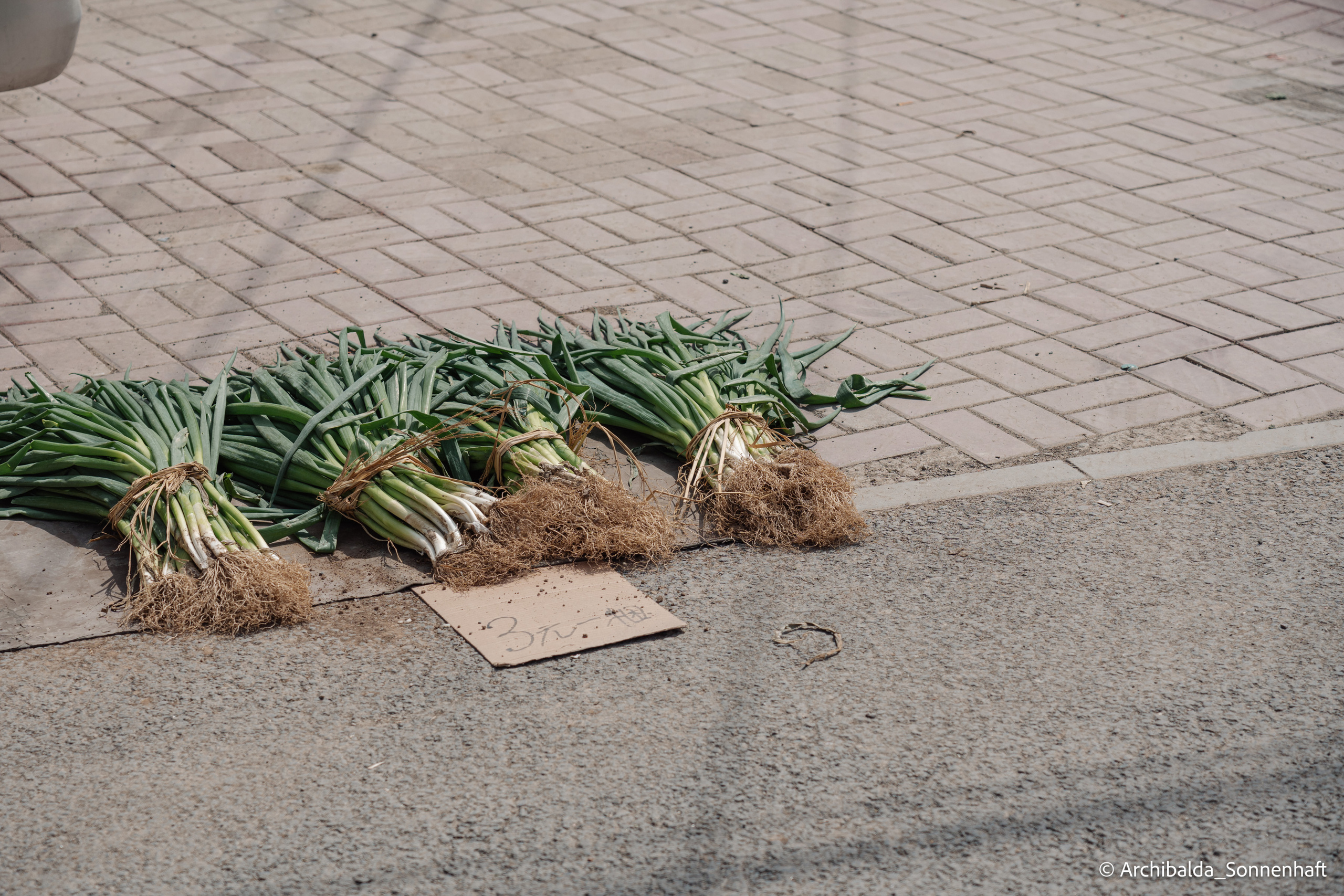 北京（Beijing), 2023.05.02. Photographer in Guangzhou, China. Archibald Sonnenhaft