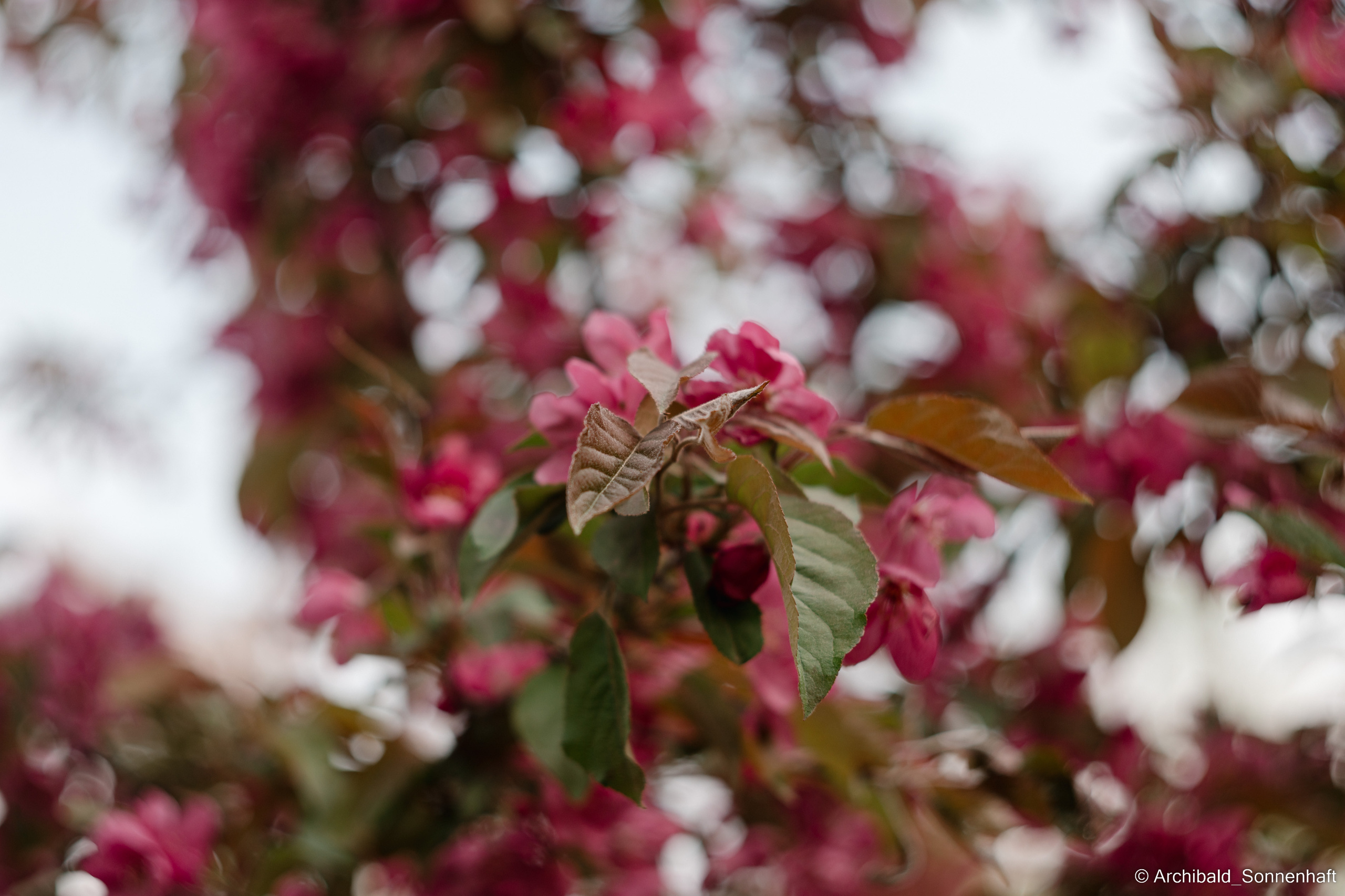 Water park. Photographer in Guangzhou, China. Archibald Sonnenhaft