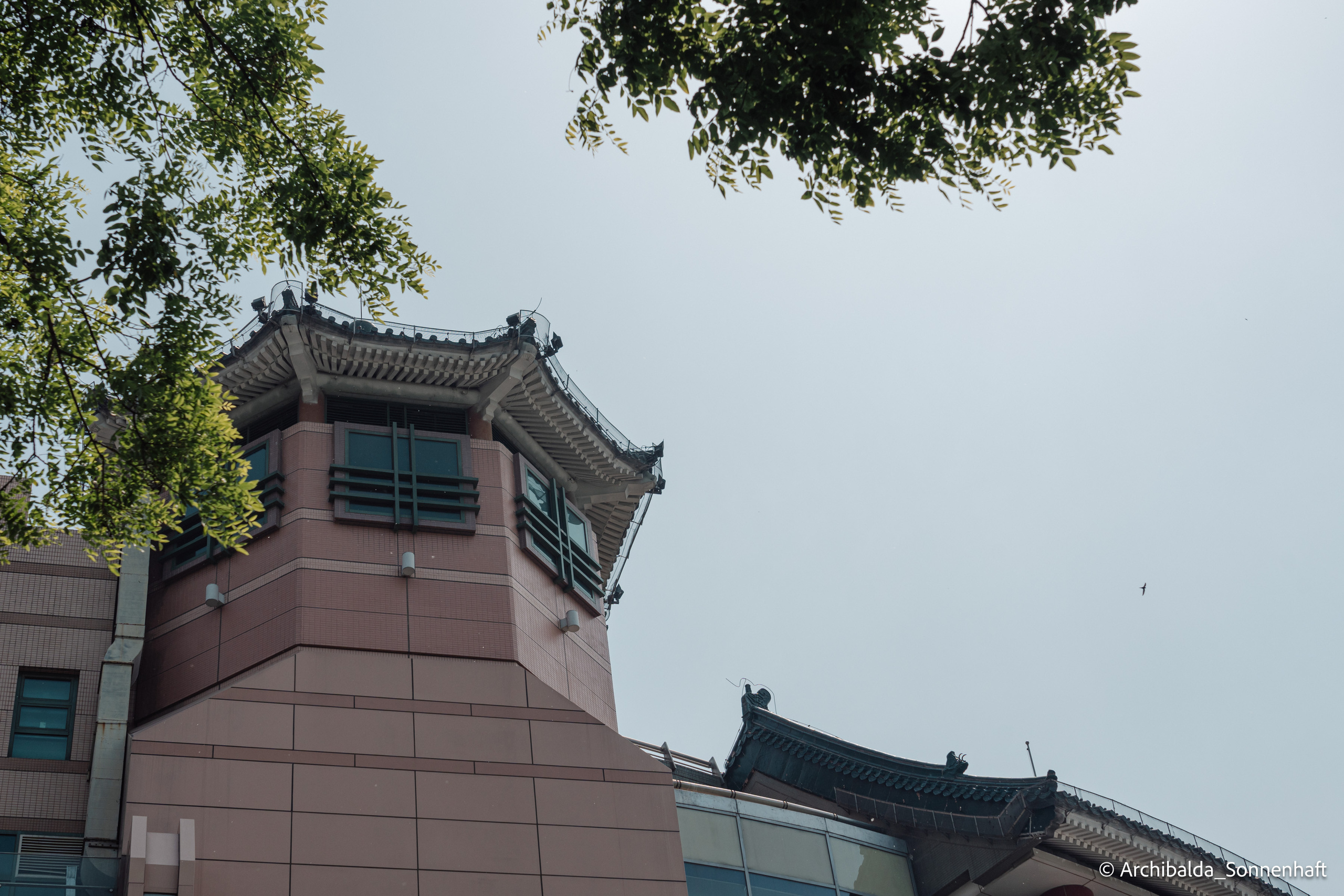 Tianjin-Beijin. Photographer in Guangzhou, China. Archibald Sonnenhaft