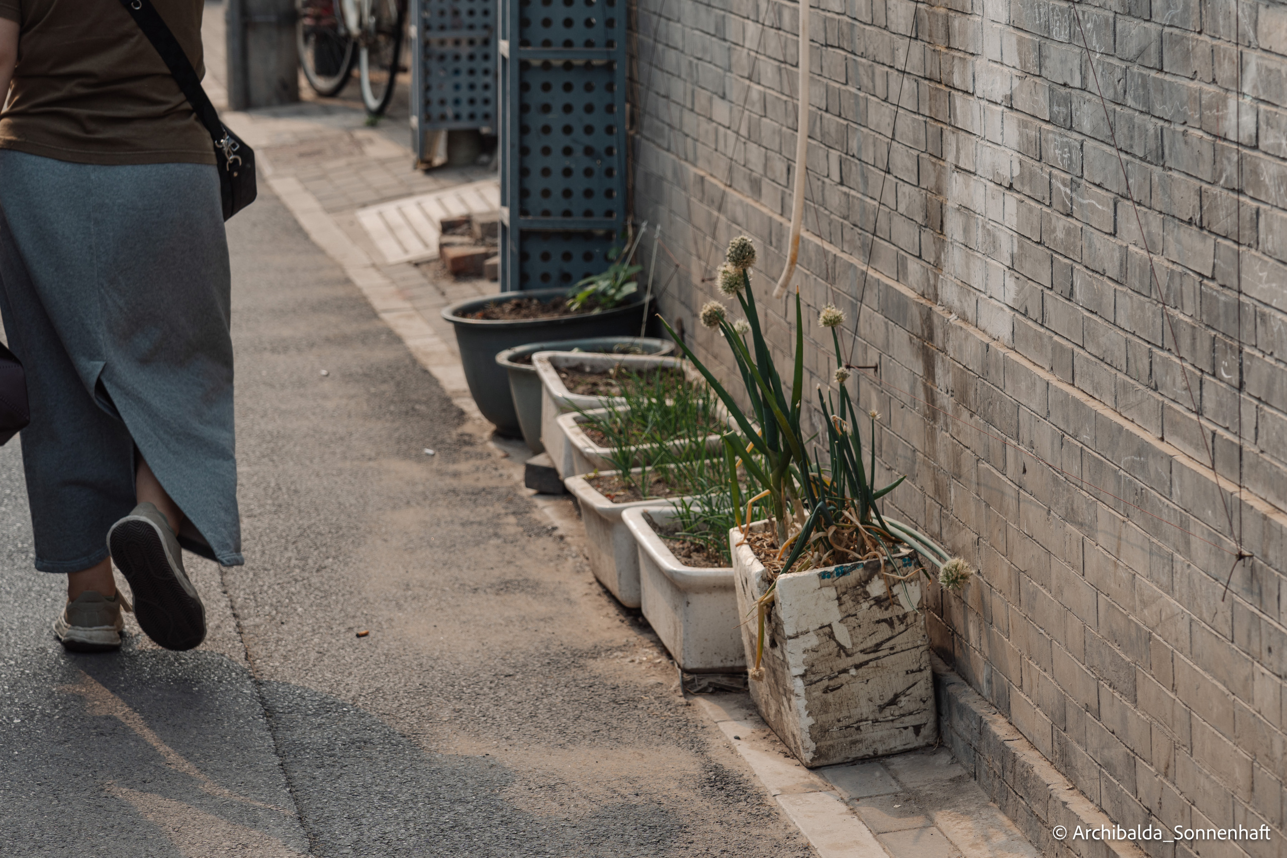 Tianjin-Beijin. Photographer in Guangzhou, China. Archibald Sonnenhaft