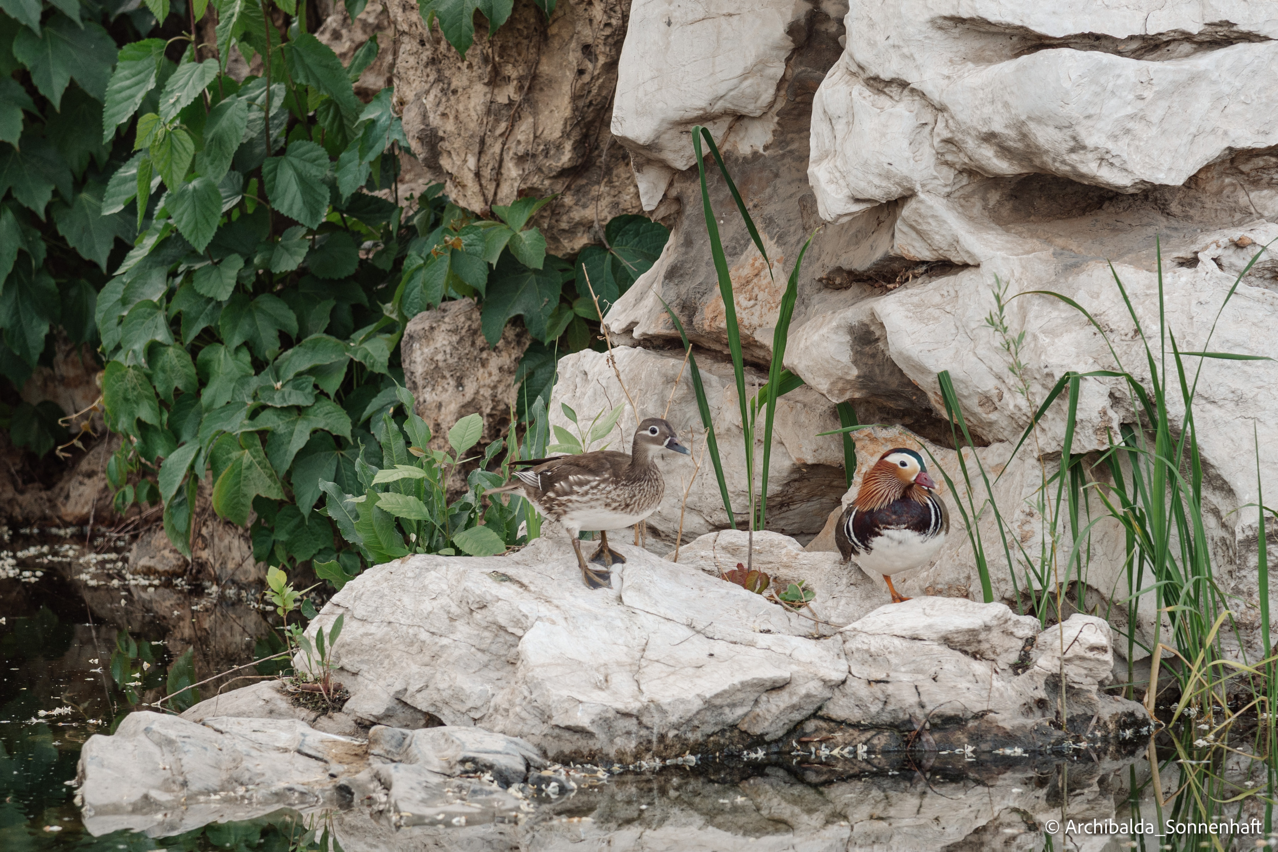 Tianjin-Beijin. Photographer in Guangzhou, China. Archibald Sonnenhaft