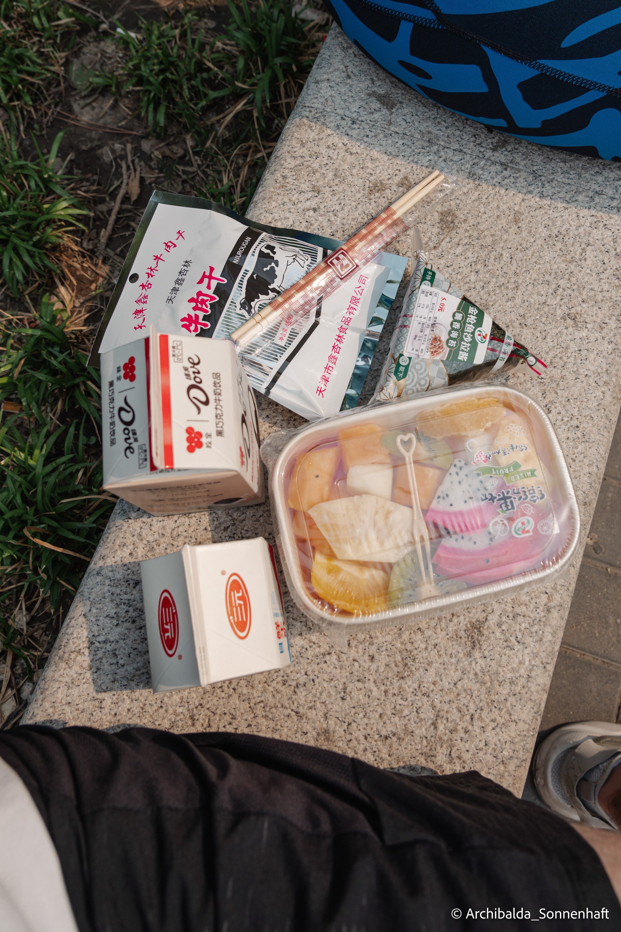 Tianjin-Beijin. Photographer in Guangzhou, China. Archibald Sonnenhaft