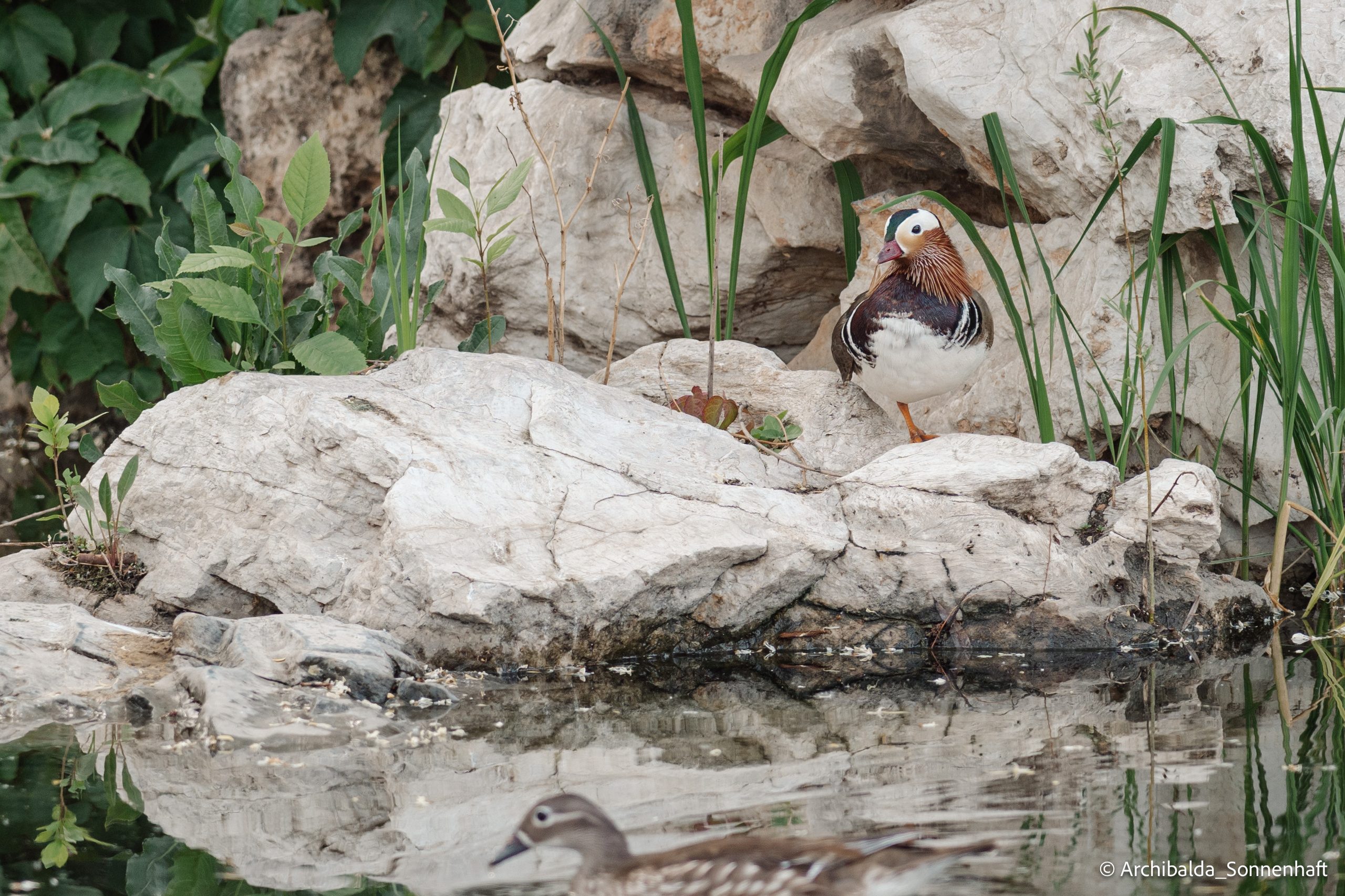 Tianjin-Beijin. Photographer in Guangzhou, China. Archibald Sonnenhaft