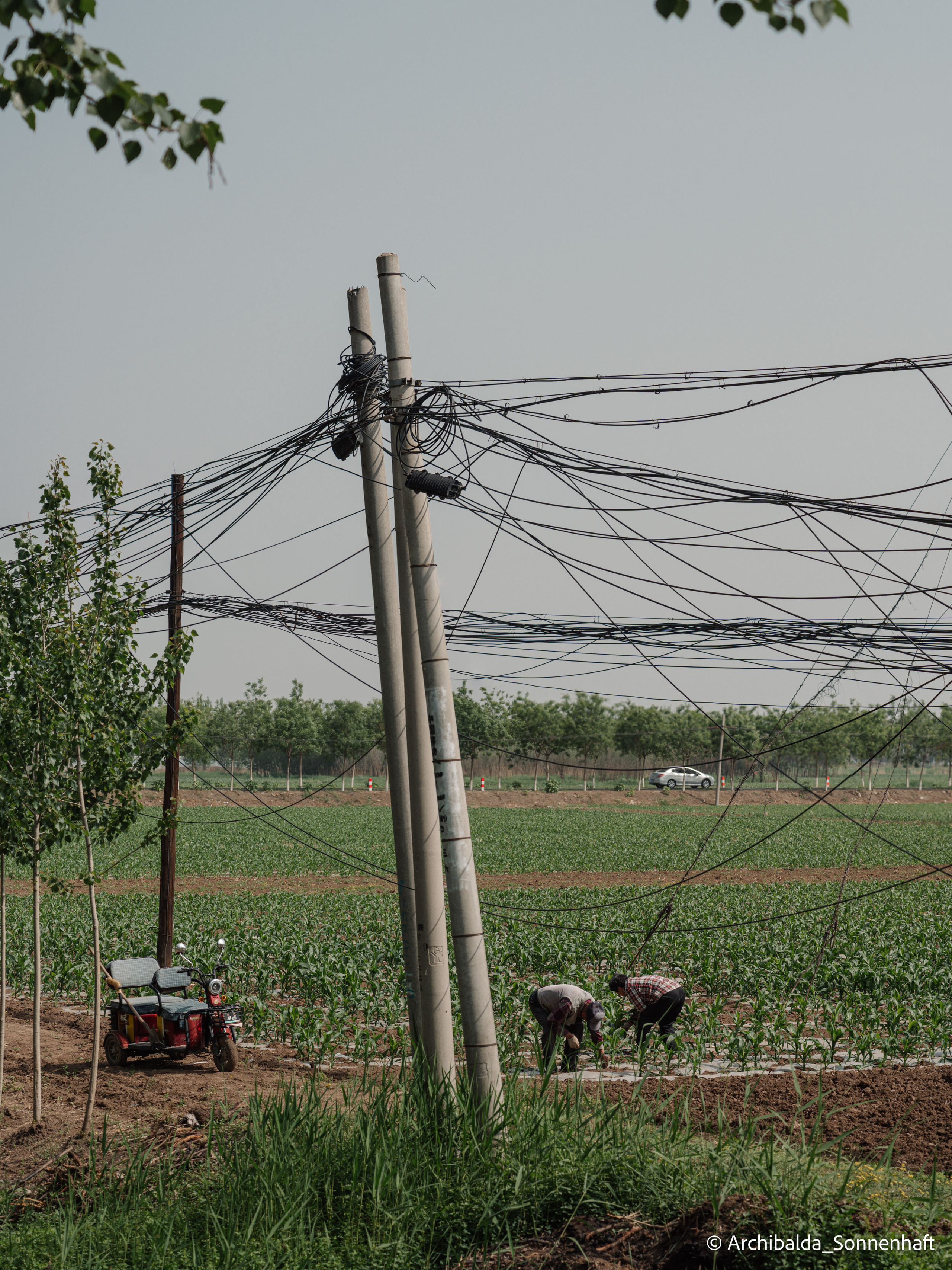 Tianjin-Beijin. Photographer in Guangzhou, China. Archibald Sonnenhaft