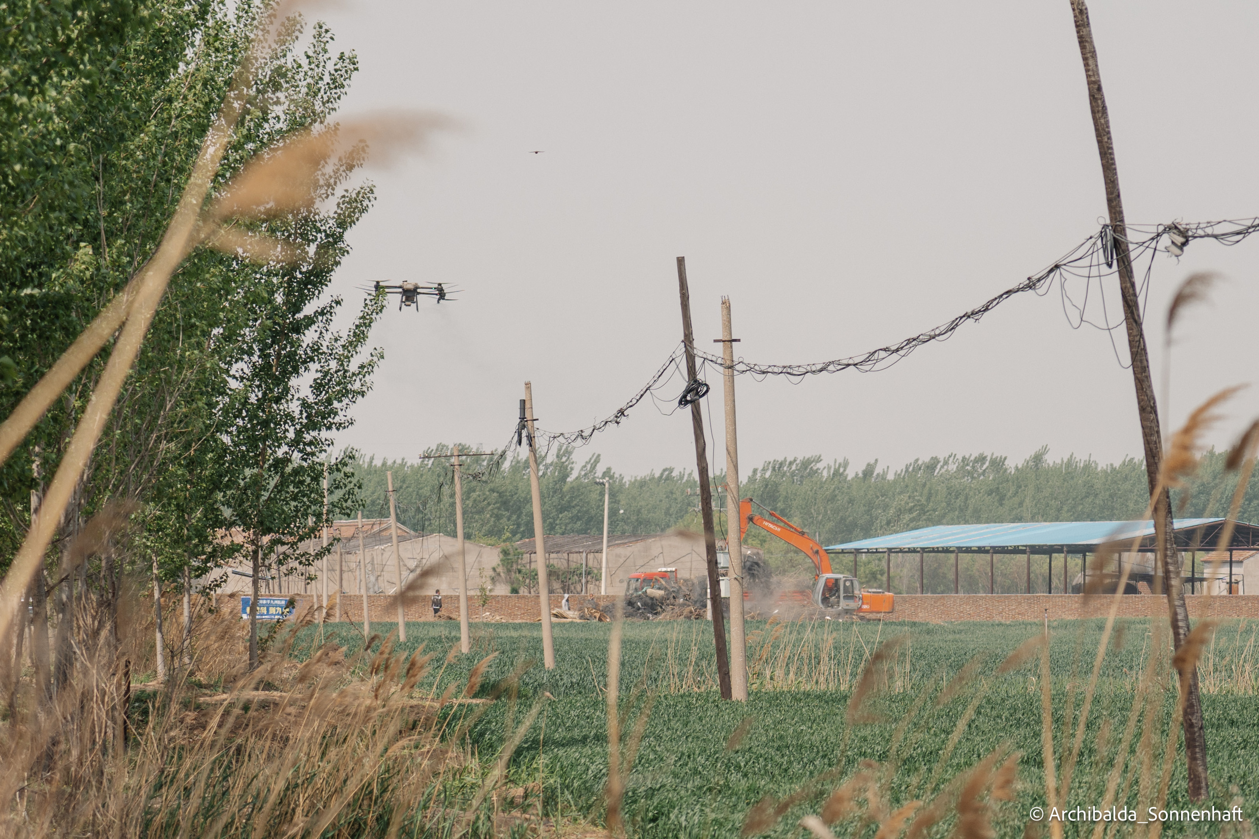 Tianjin-Beijin. Photographer in Guangzhou, China. Archibald Sonnenhaft