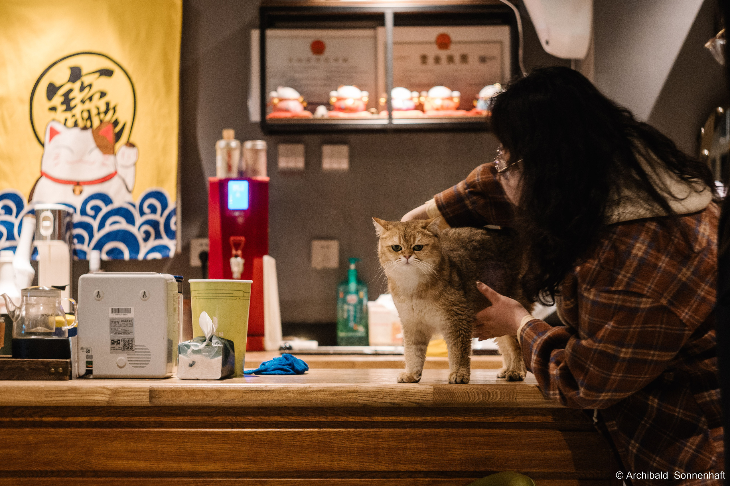 Park, tea and cats. Photographer in Guangzhou, China. Archibald Sonnenhaft