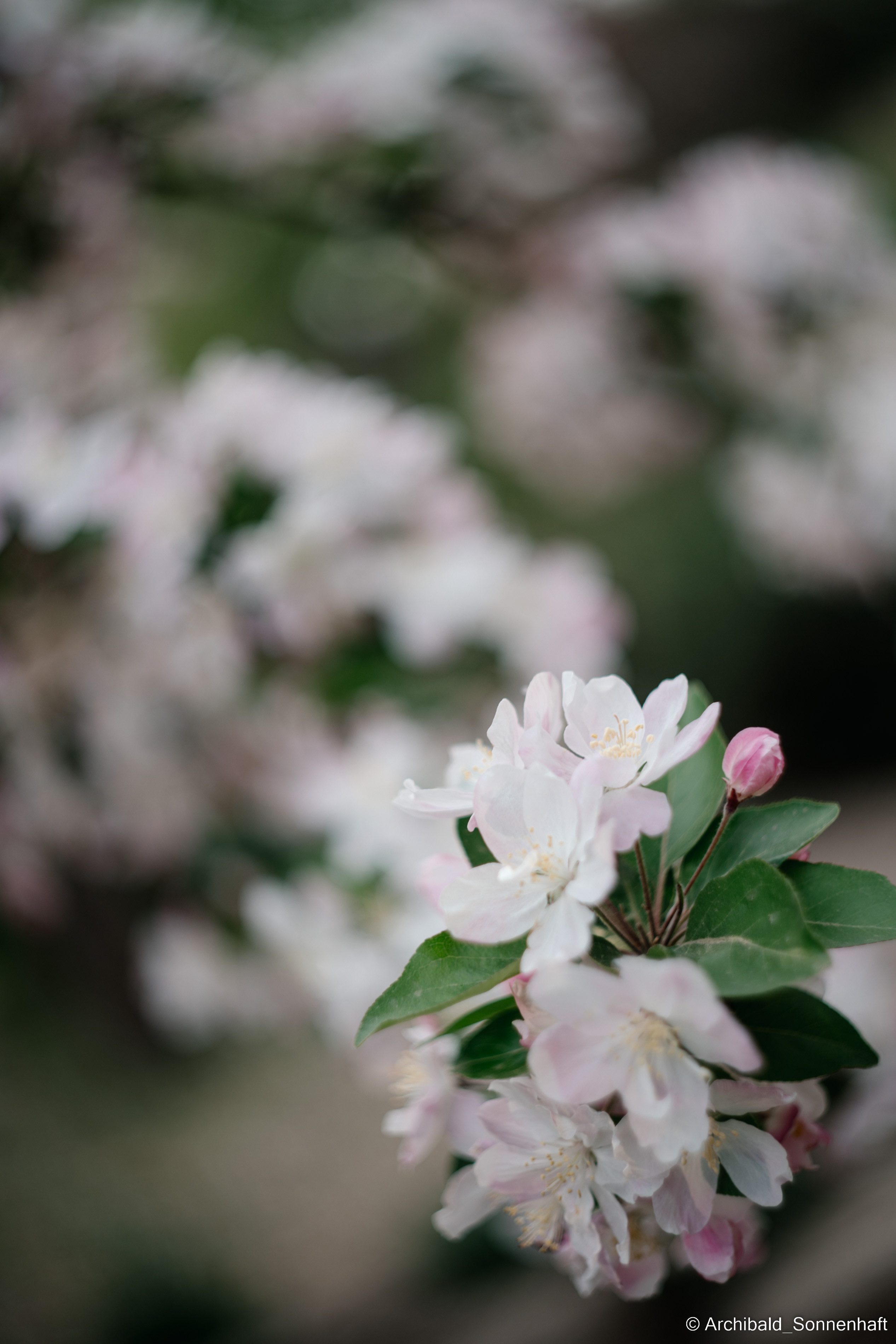 Water park. Photographer in Guangzhou, China. Archibald Sonnenhaft