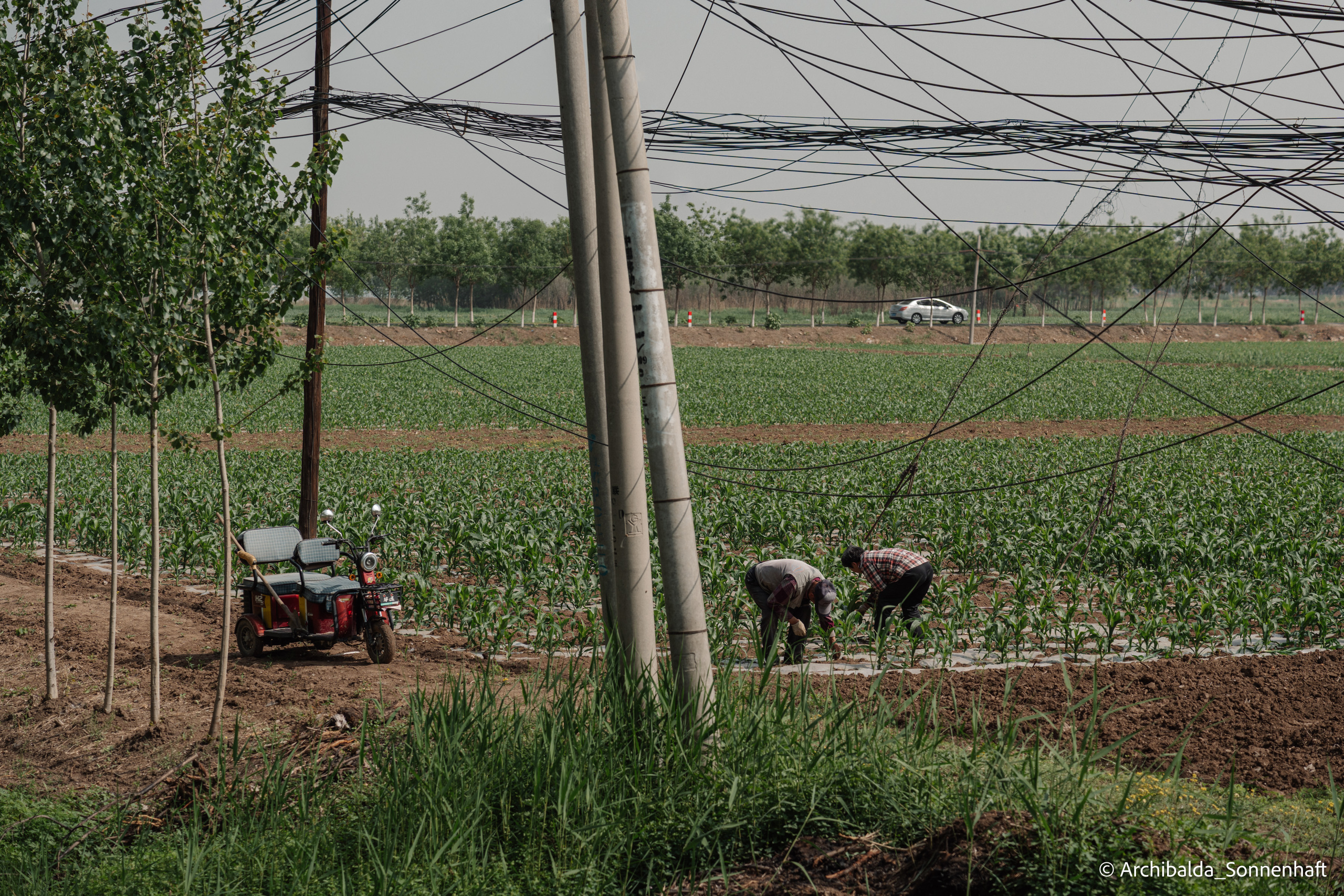 北京（Beijing), 2023.05.02. Photographer in Guangzhou, China. Archibald Sonnenhaft