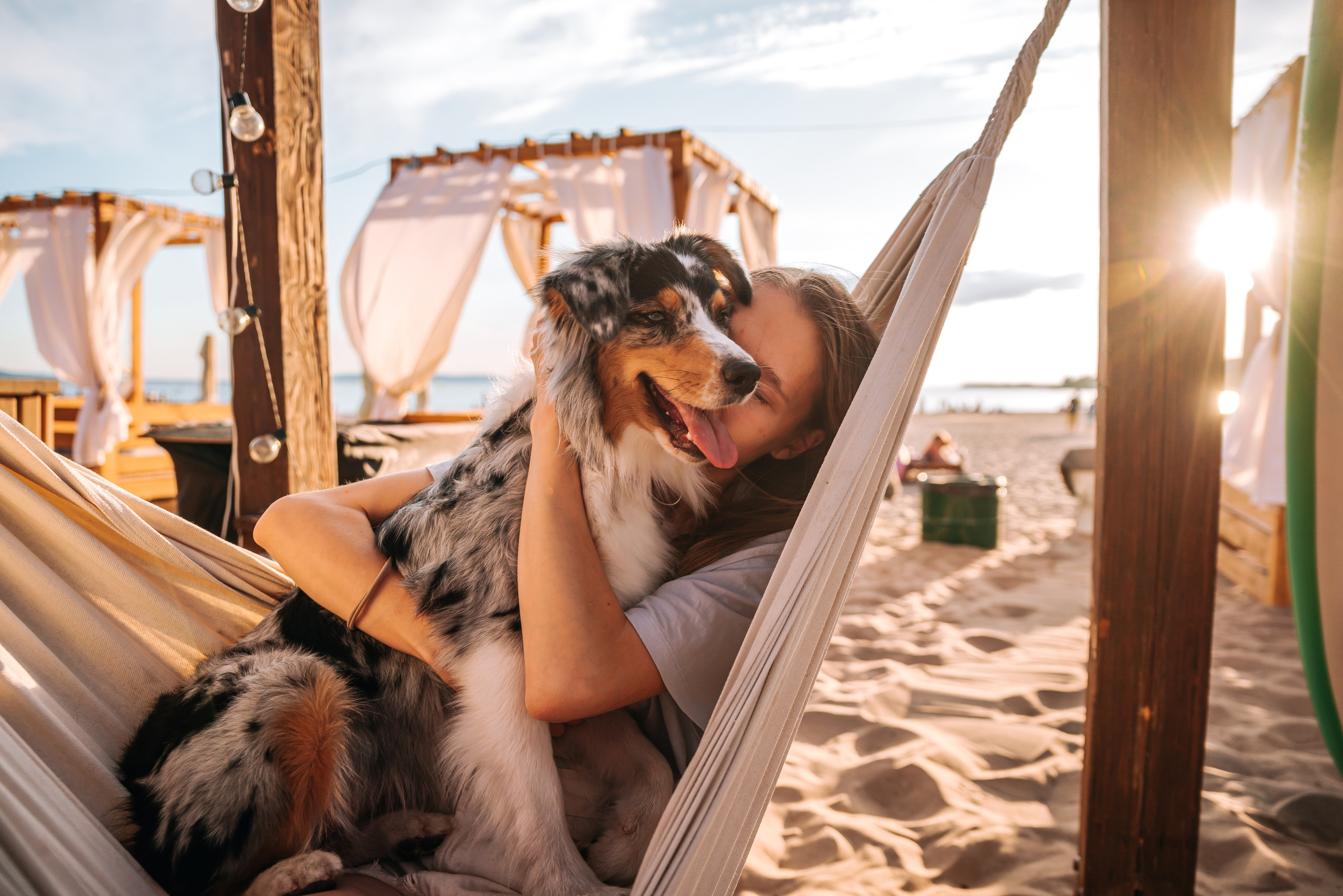 No Bad Days. Главная