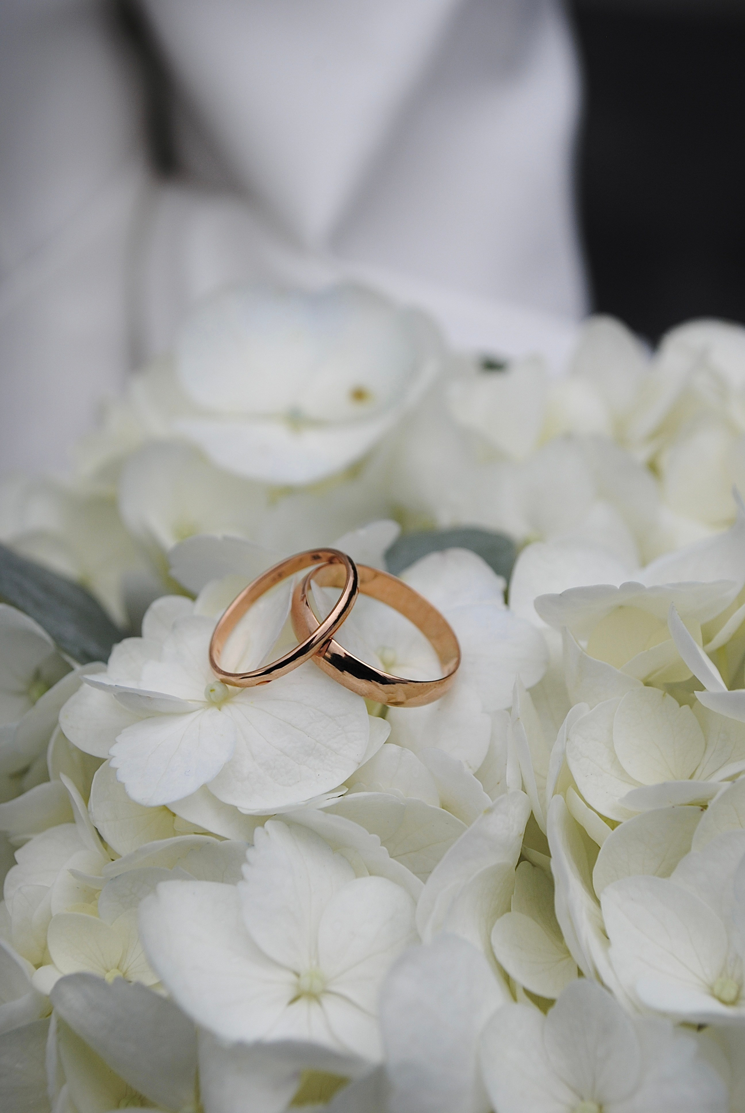 Свадьба Анастасия 12.12.2023. Фотограф Мария Мусаелян