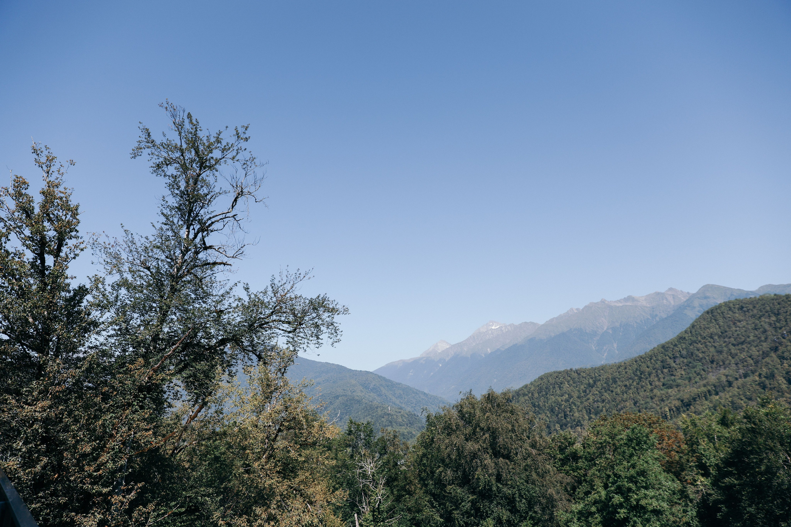 Анонс свадьба в Сочи Александр и Екатерина. Свадебный и семейный фотограф в Севастополе и Крыму Анастасия Сураева