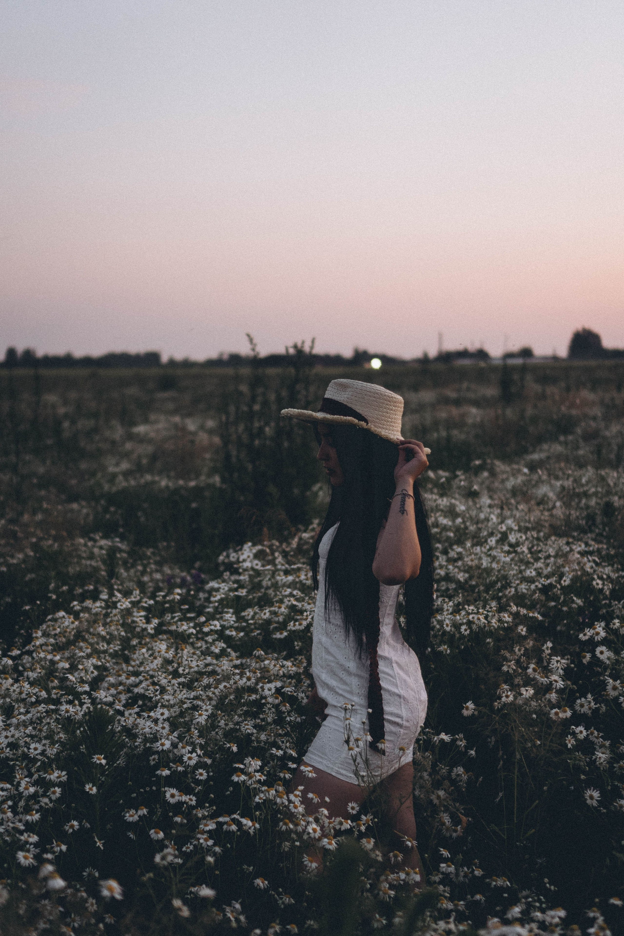 Ромашковое поле. Профессиональный фотограф, Санкт-Петербург — Виктория Богомолова