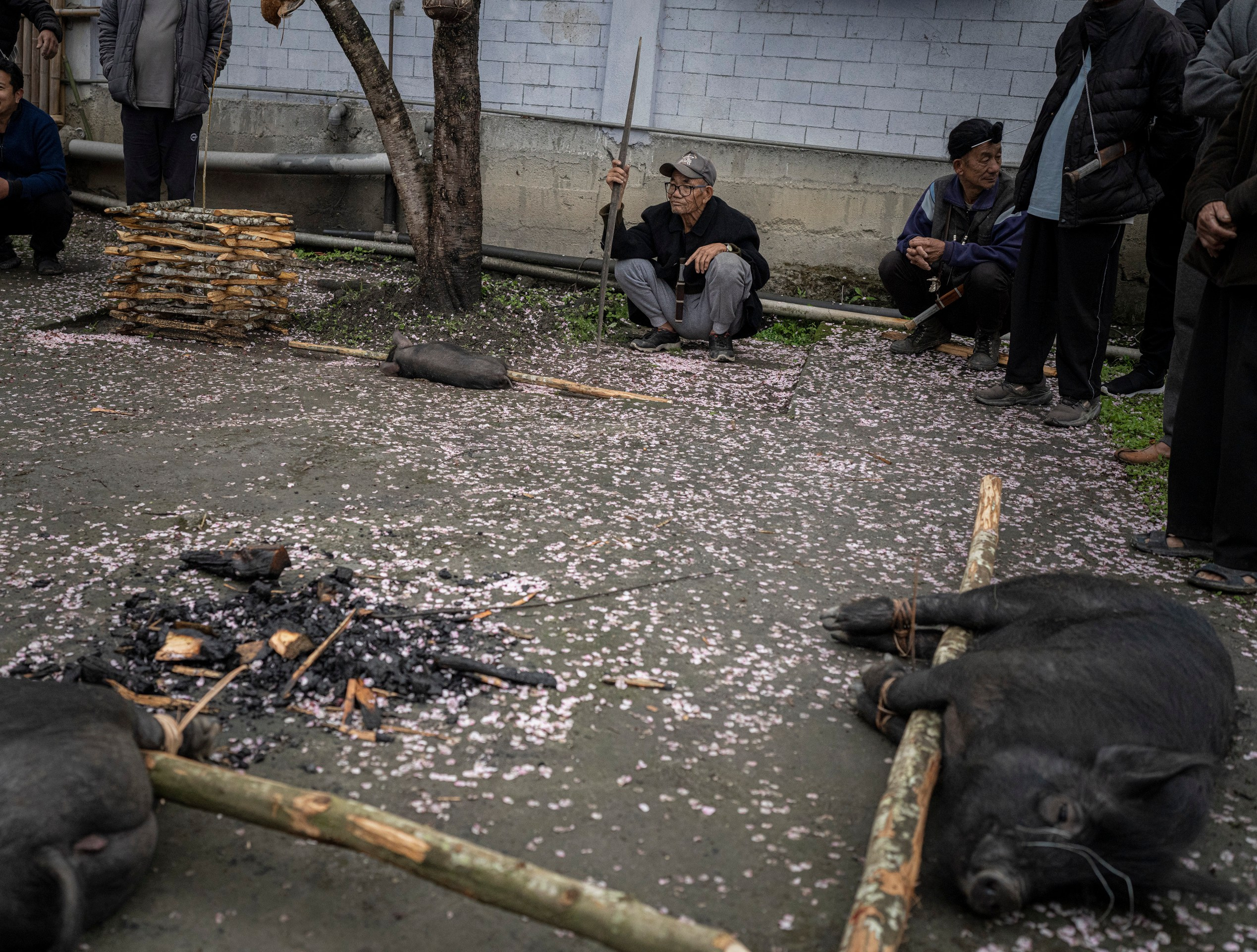 India travel. Фотограф Сергей Танков