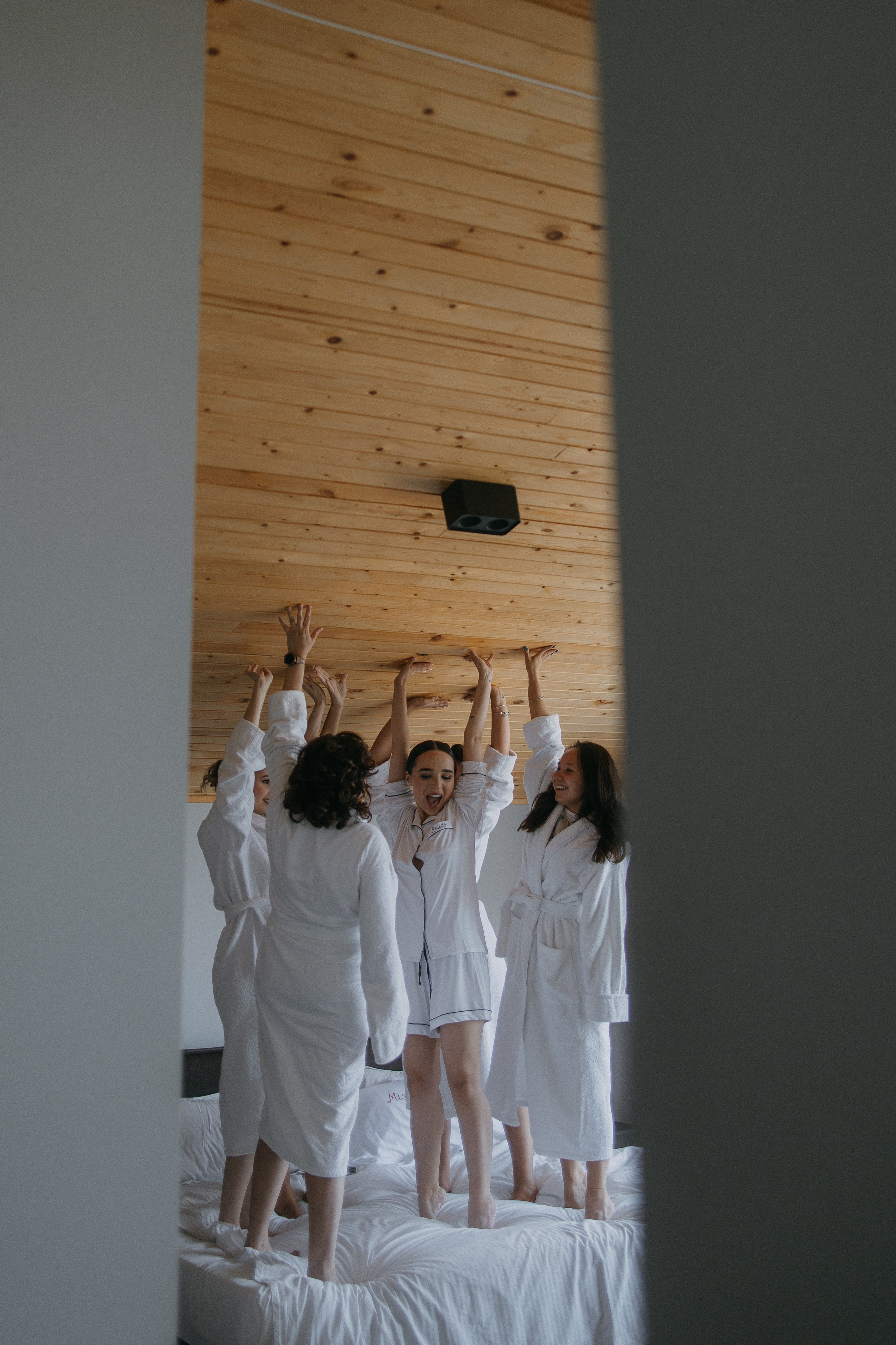 Крокус. Alesya Gee Photographer Uzbekistan