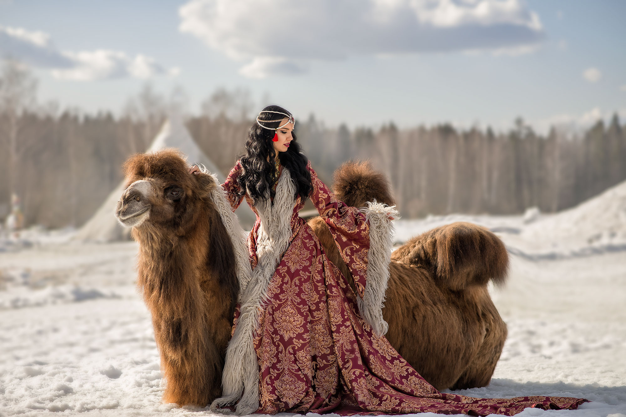 Фотосессия с верблюдом. Фотограф в Москве Аня Цыплакова
