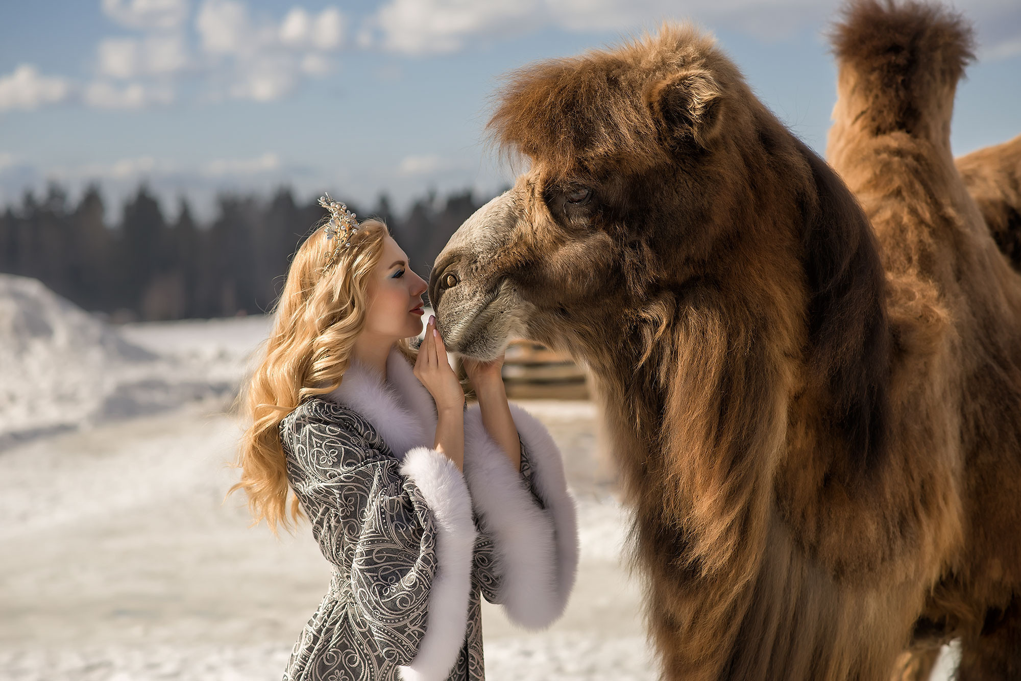 Фотосессия с верблюдом. Фотограф в Москве Аня Цыплакова