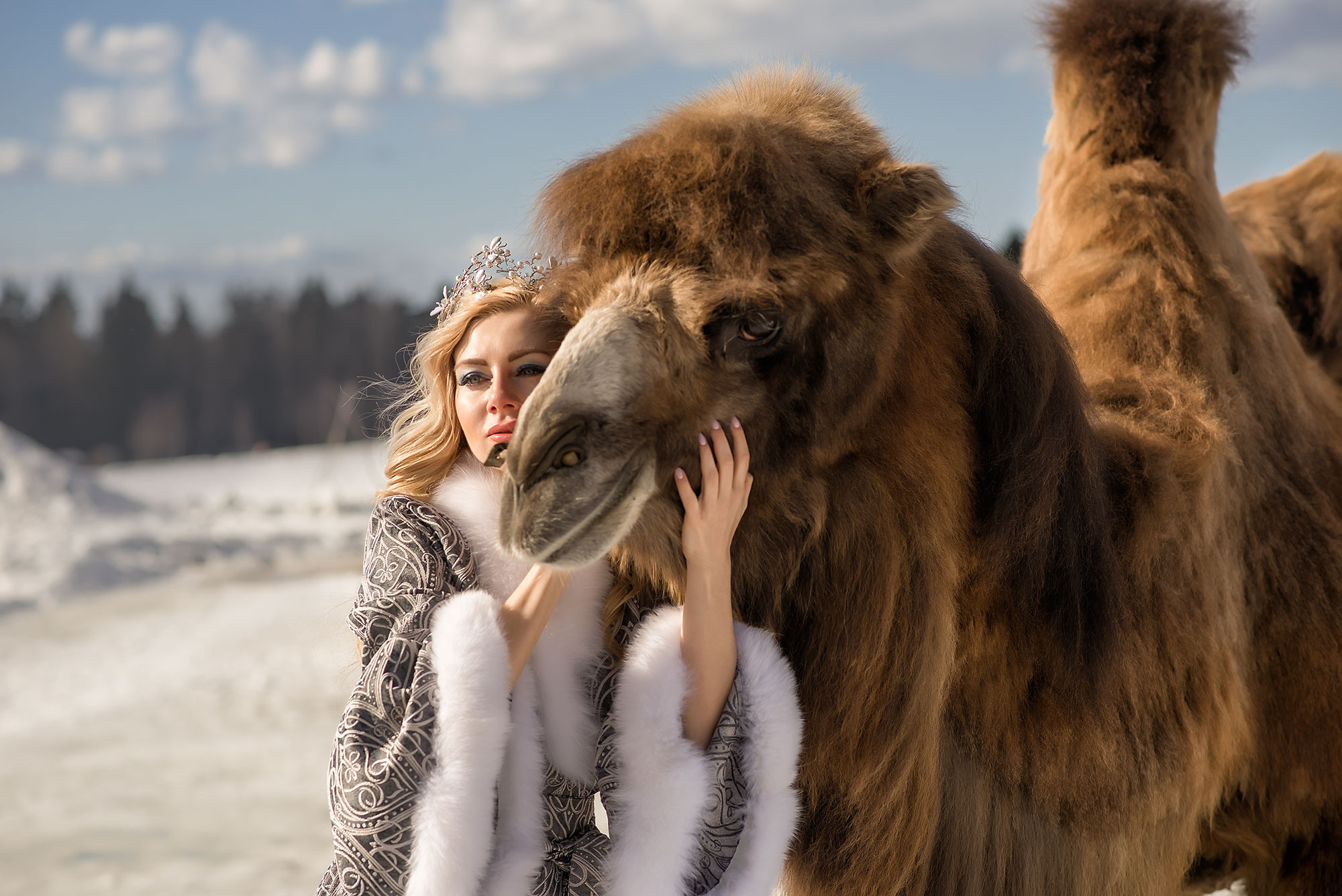 Фотосессия с верблюдом. Фотограф в Москве Аня Цыплакова