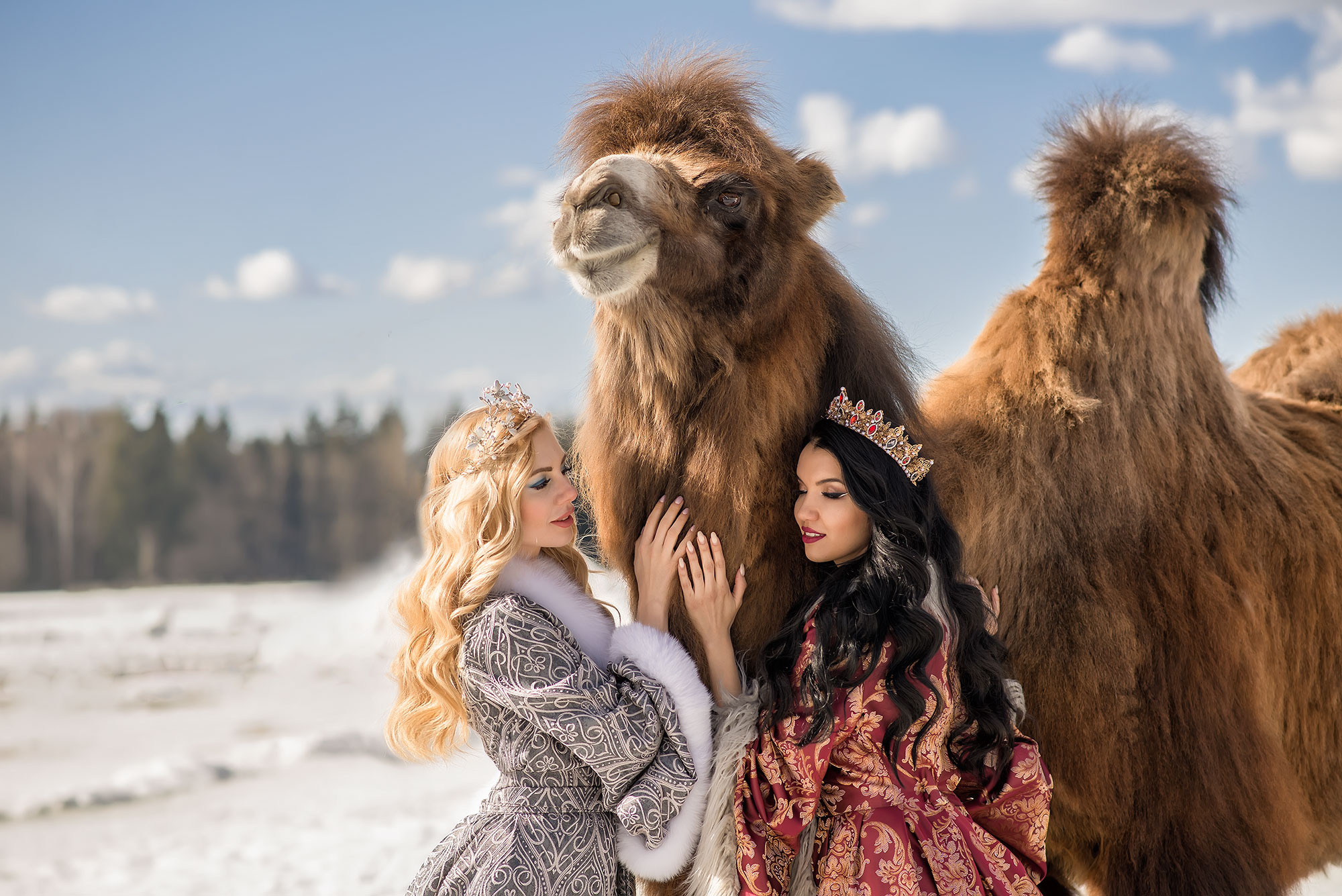 Фотосессия с верблюдом. Фотограф в Москве Аня Цыплакова