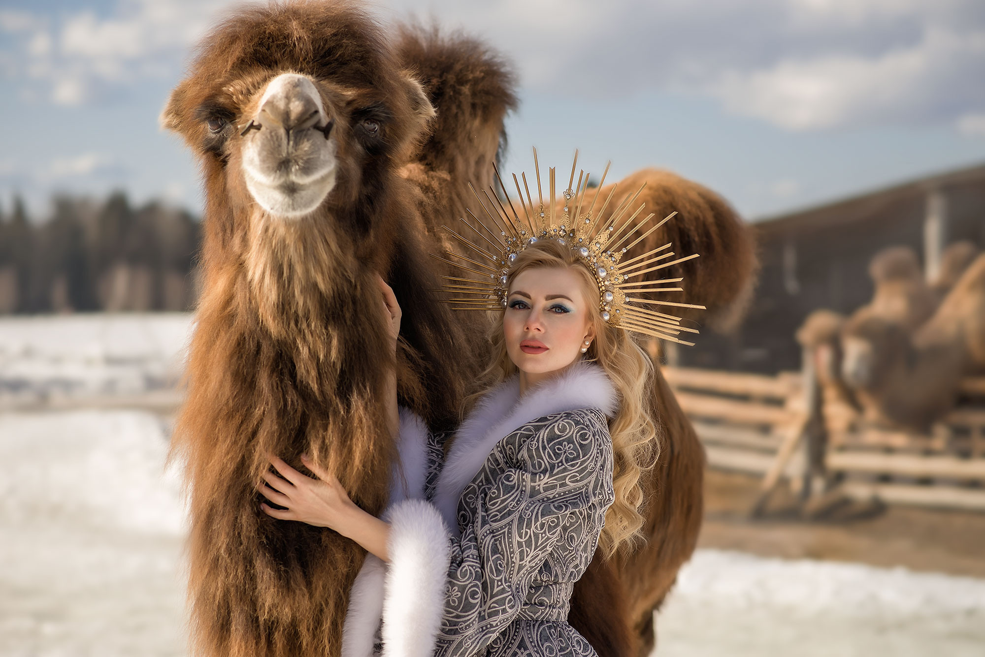Фотосессия с верблюдом. Фотограф в Москве Аня Цыплакова