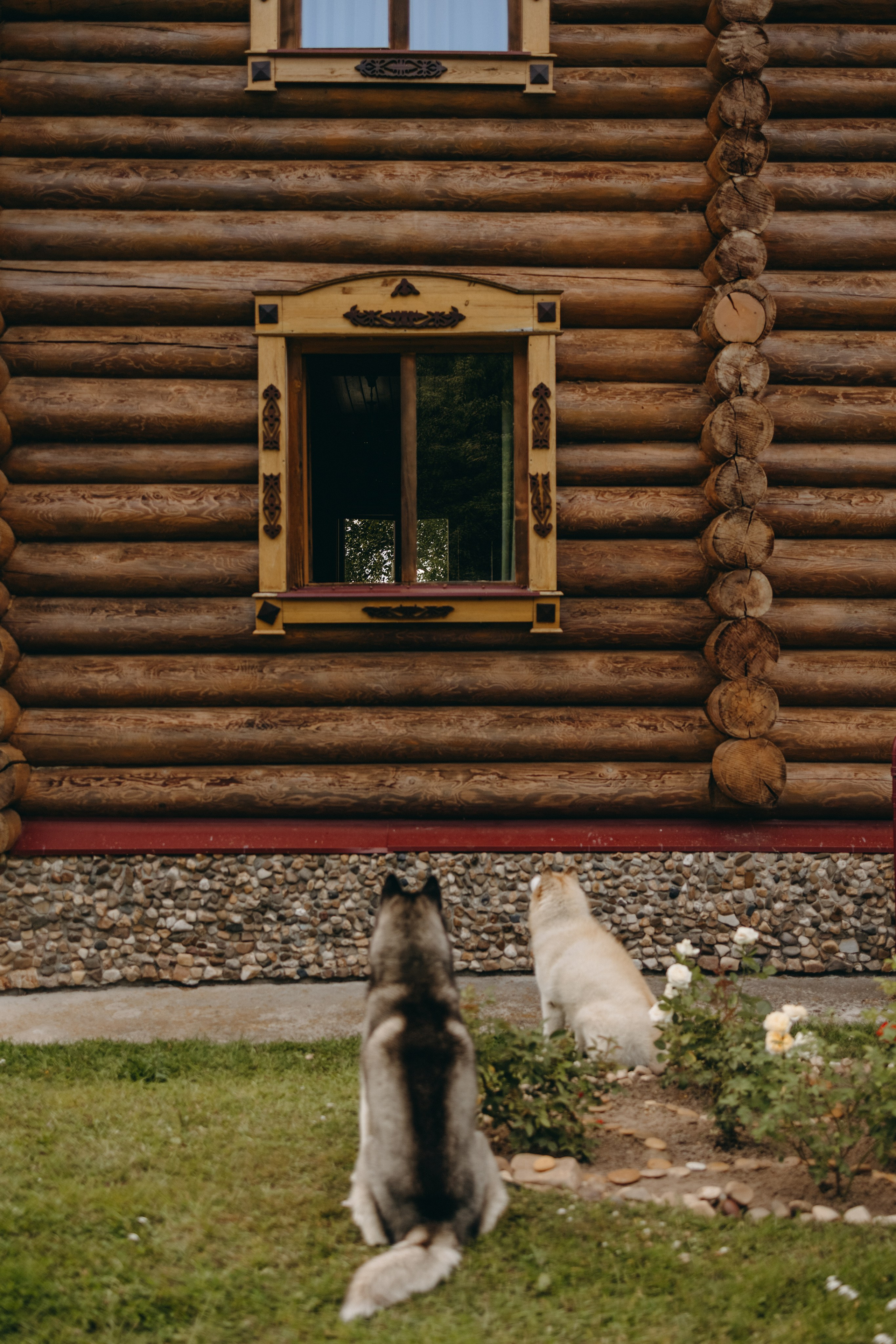 Дом у реки. Фотограф — Анималист | Санкт-Петербург