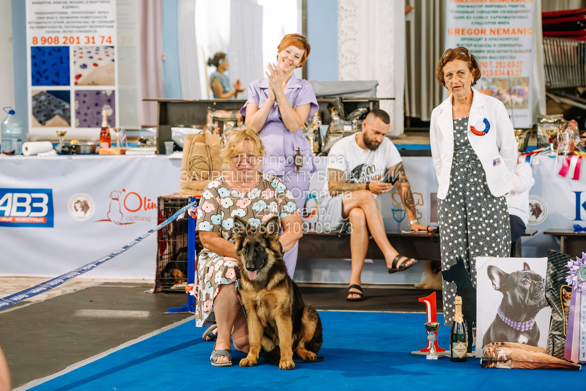 Национальная выставка собак всех пород ранга САС-IKU «Кубок Красноярск. Фотограф Диана Оленина Красноярск / Братск