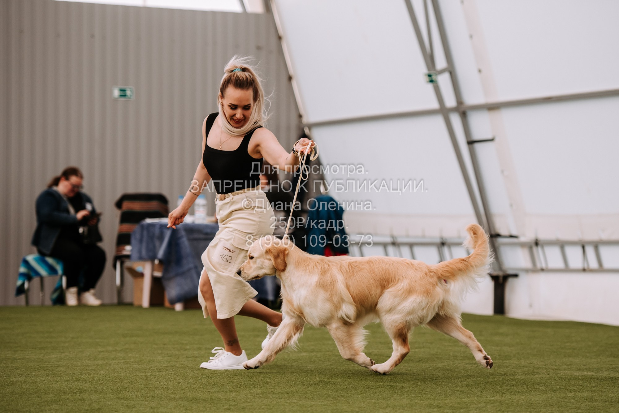 Выставка собак Красноярск 2.06. Фотограф Диана Оленина Красноярск / Братск
