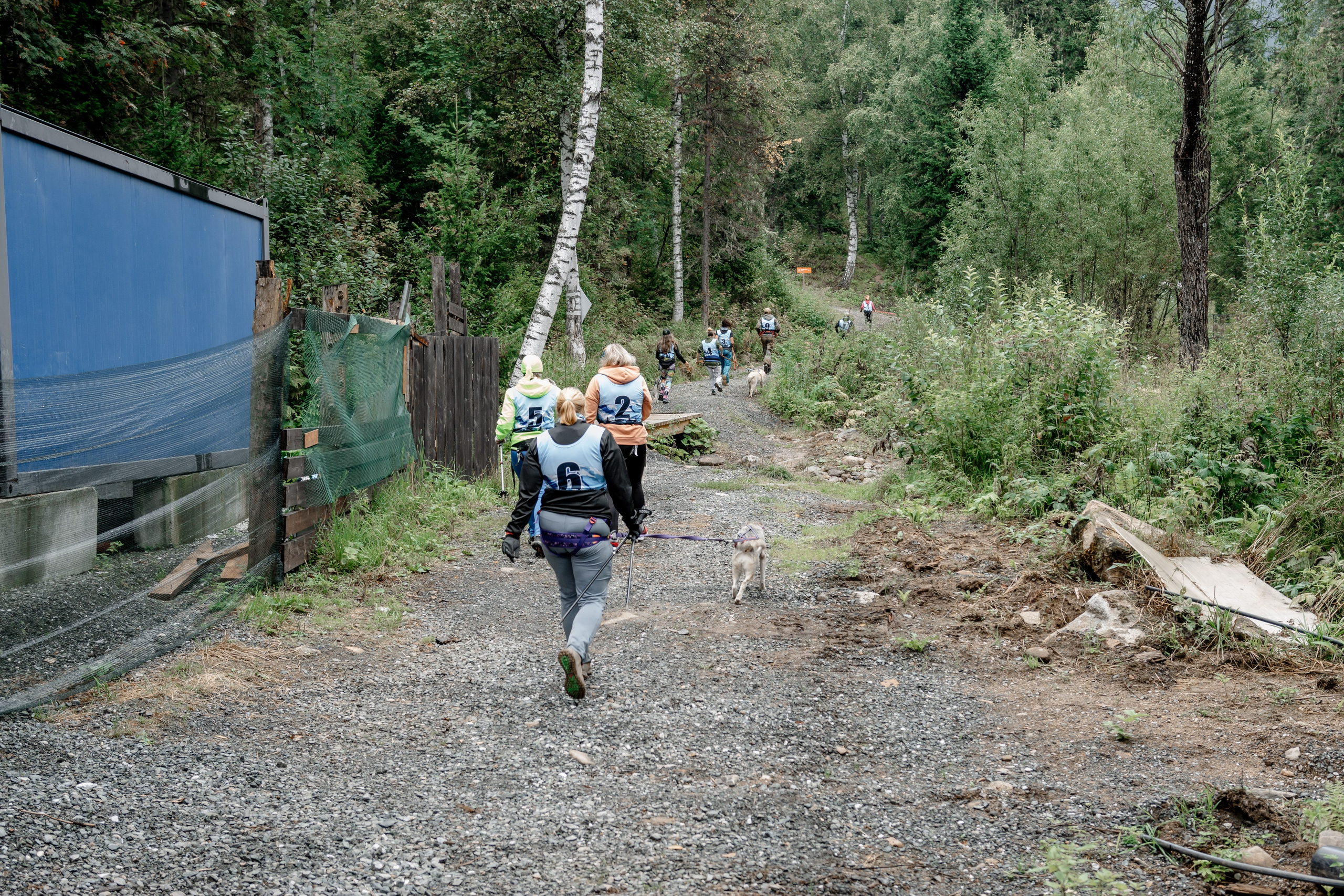 Дог-треккинг