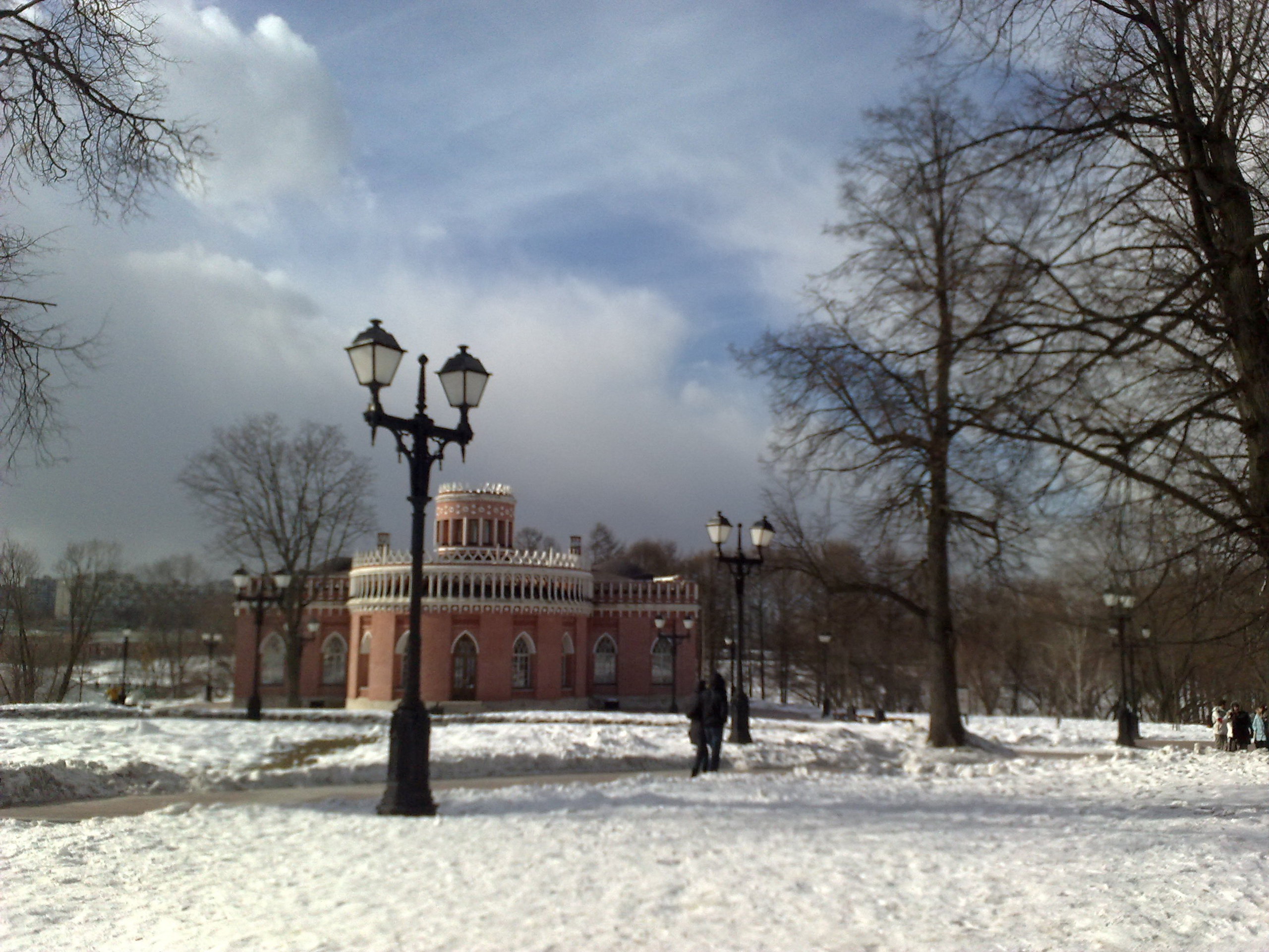 Царицино музей-усадьба. Питомник китайских хохлатых собак Poale Ell: купить щенка в питомнике