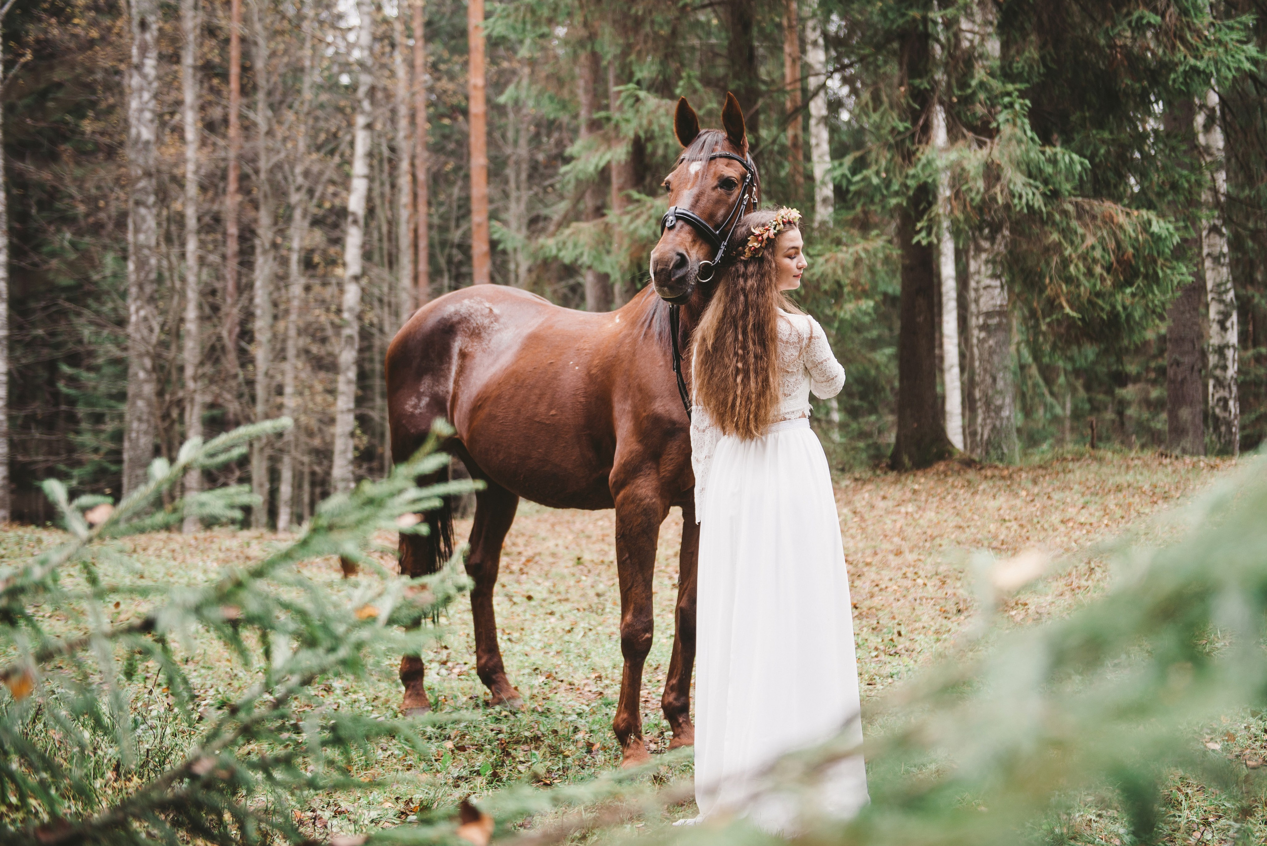 Лесная сказка с лошадками. Свадебный и семейный фотограф София Невская
