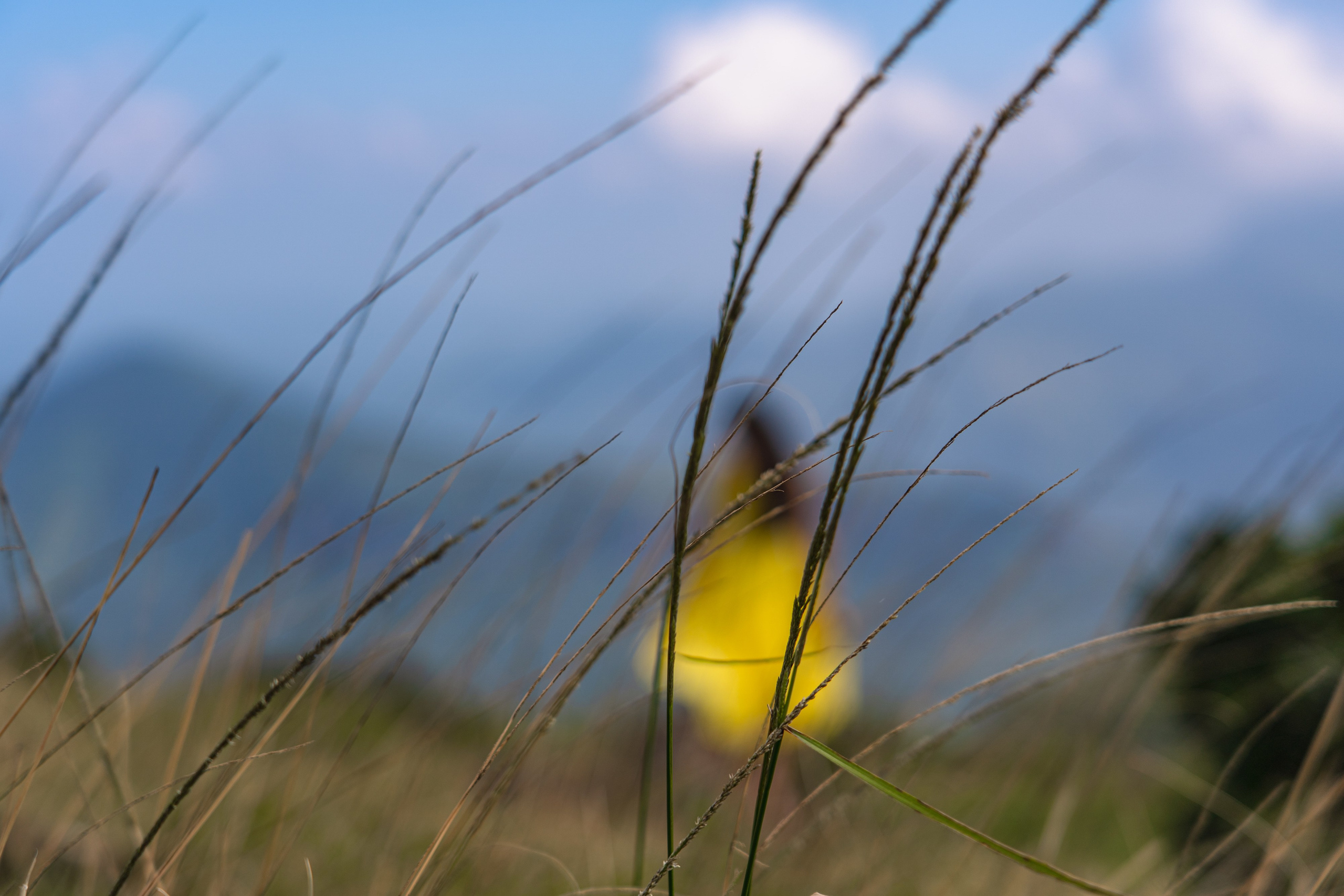 Promo content shooting for Ceylon Forward Tours