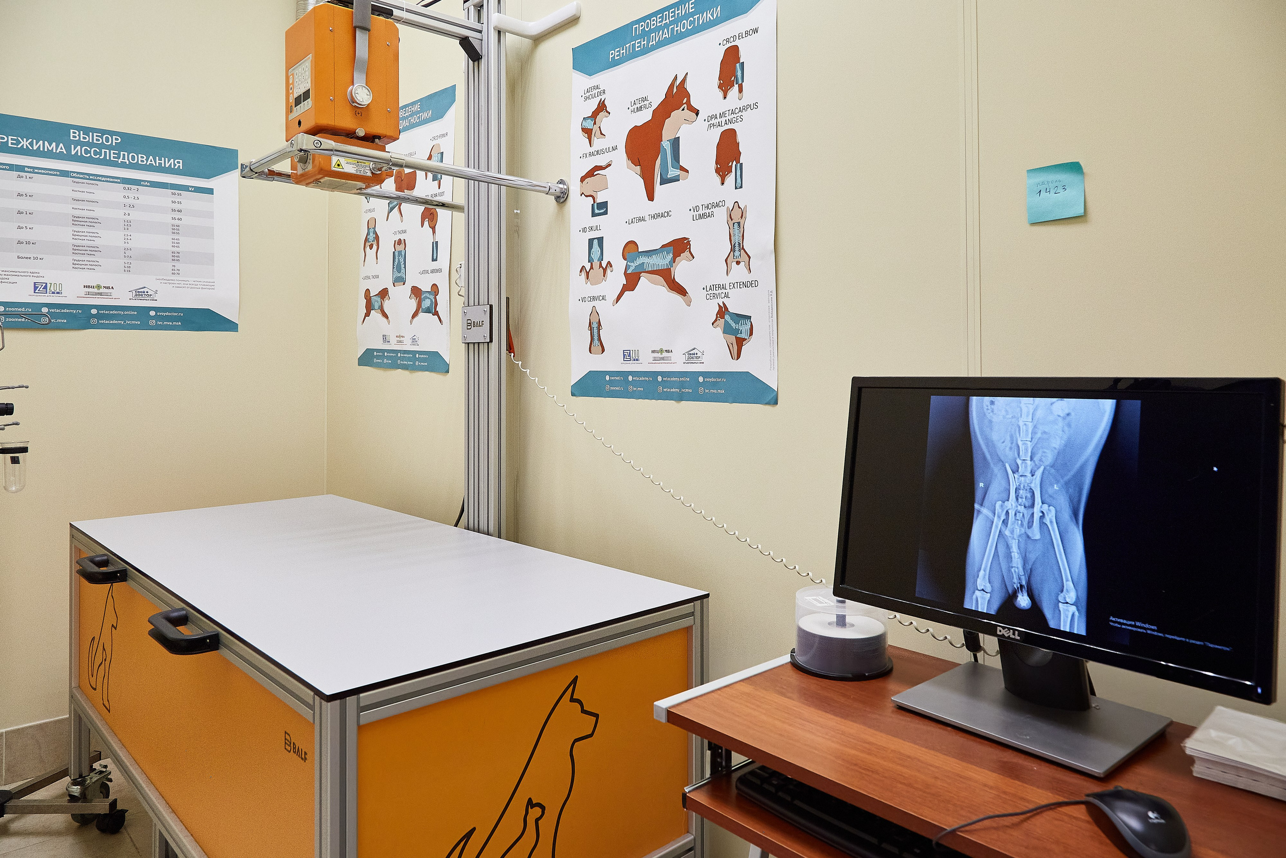 Ветеринарная клиника Косточка на Дальневосточном пр. Фотограф Анастасия Леонтьева Санкт-Петербург