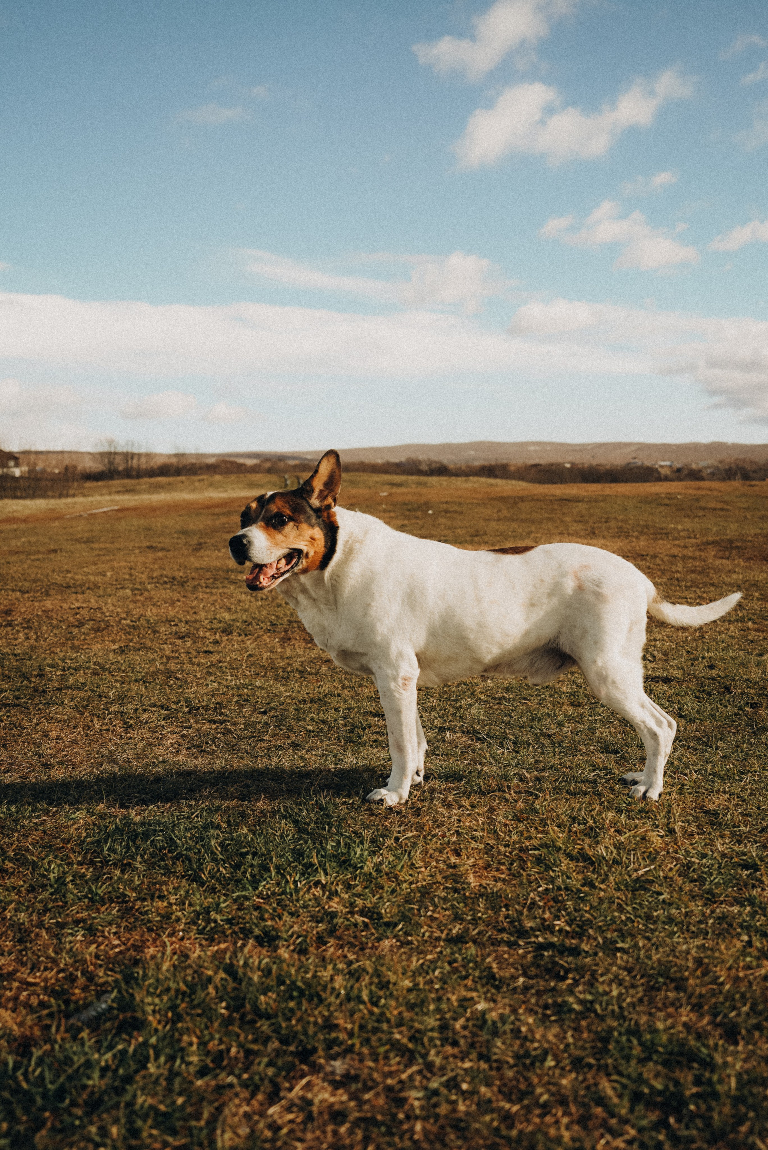 Друзья. Фотограф на Камчатке Воронина Ульяна